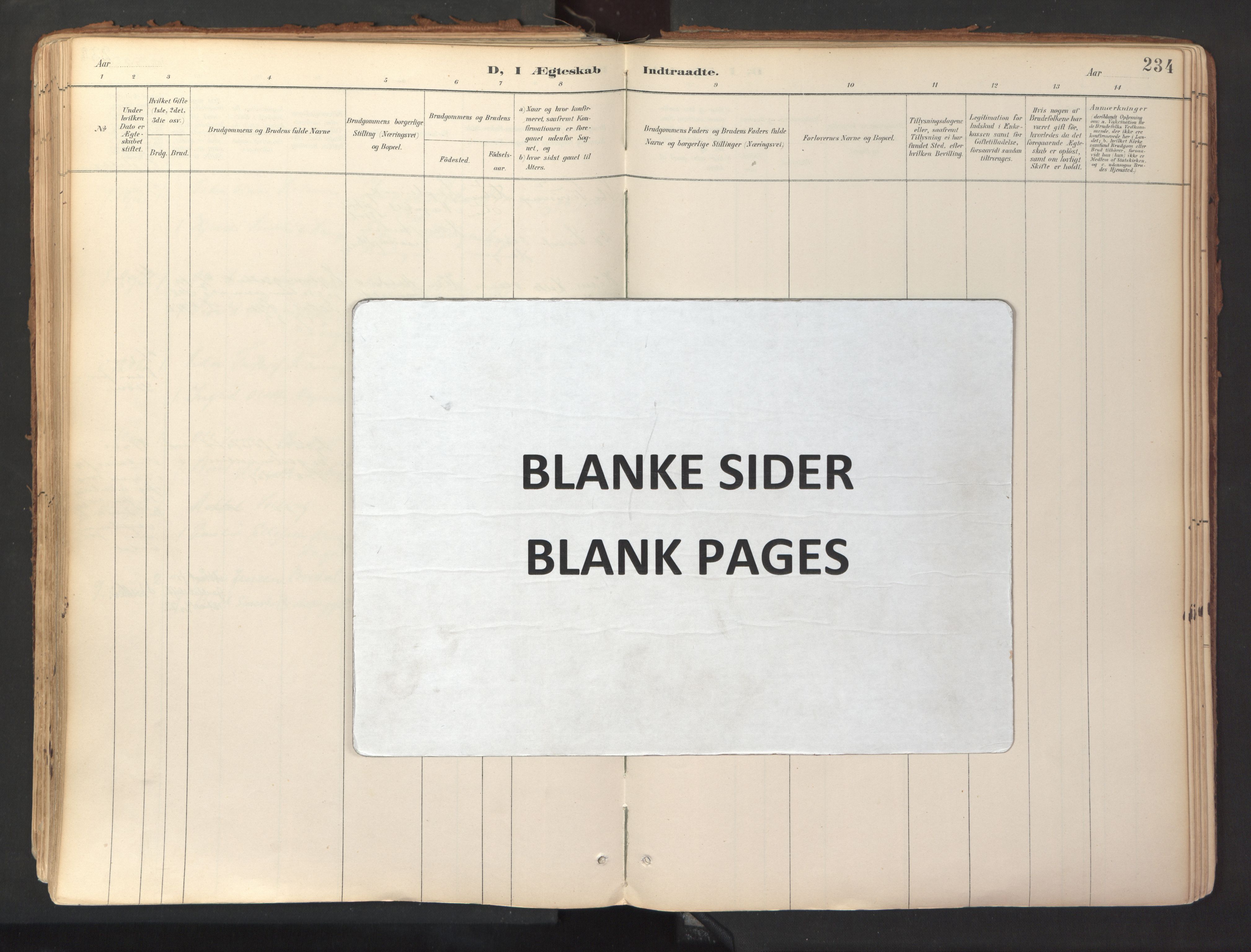 Ministerialprotokoller, klokkerbøker og fødselsregistre - Sør-Trøndelag, AV/SAT-A-1456/689/L1041: Parish register (official) no. 689A06, 1891-1923, p. 234