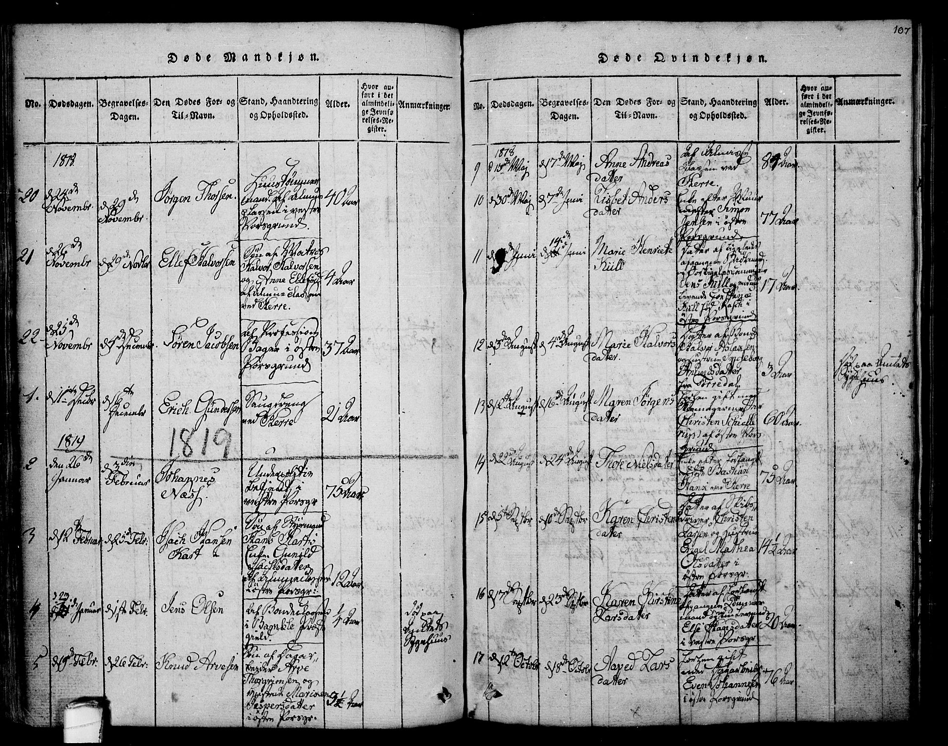 Porsgrunn kirkebøker , SAKO/A-104/F/Fa/L0004: Parish register (official) no. 4, 1814-1828, p. 107