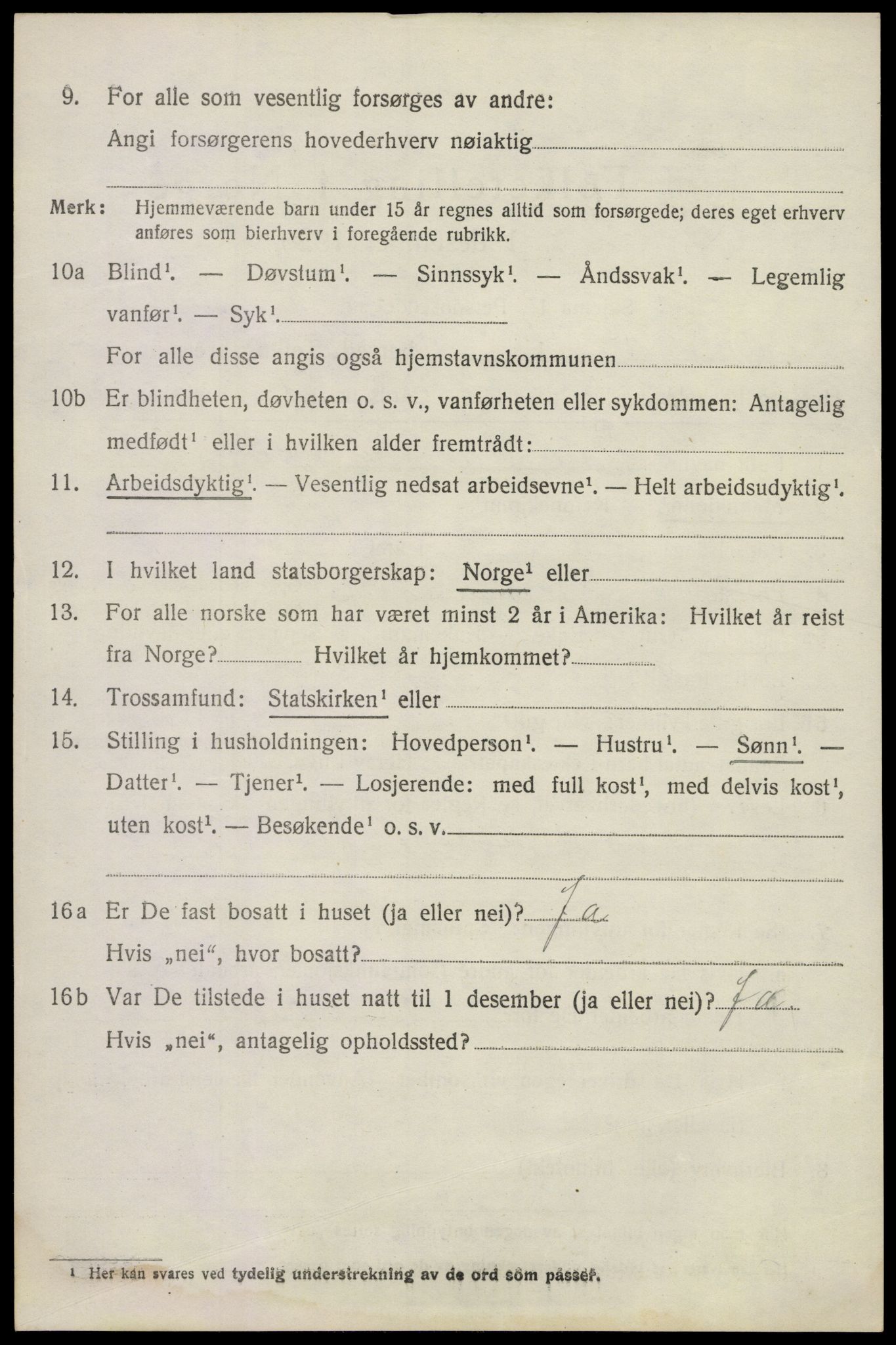 SAKO, 1920 census for Våle, 1920, p. 1105