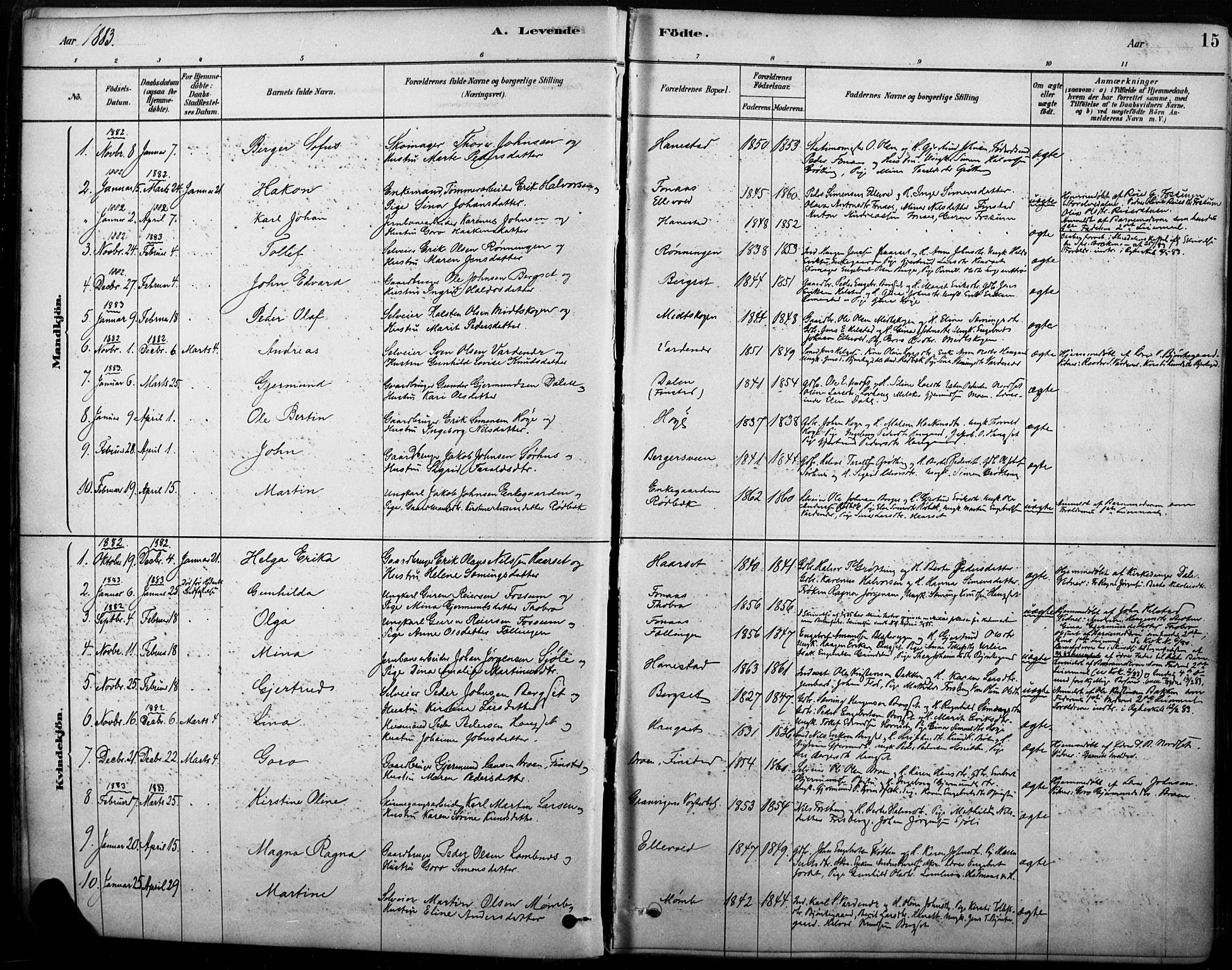 Rendalen prestekontor, SAH/PREST-054/H/Ha/Haa/L0009: Parish register (official) no. 9, 1878-1901, p. 15
