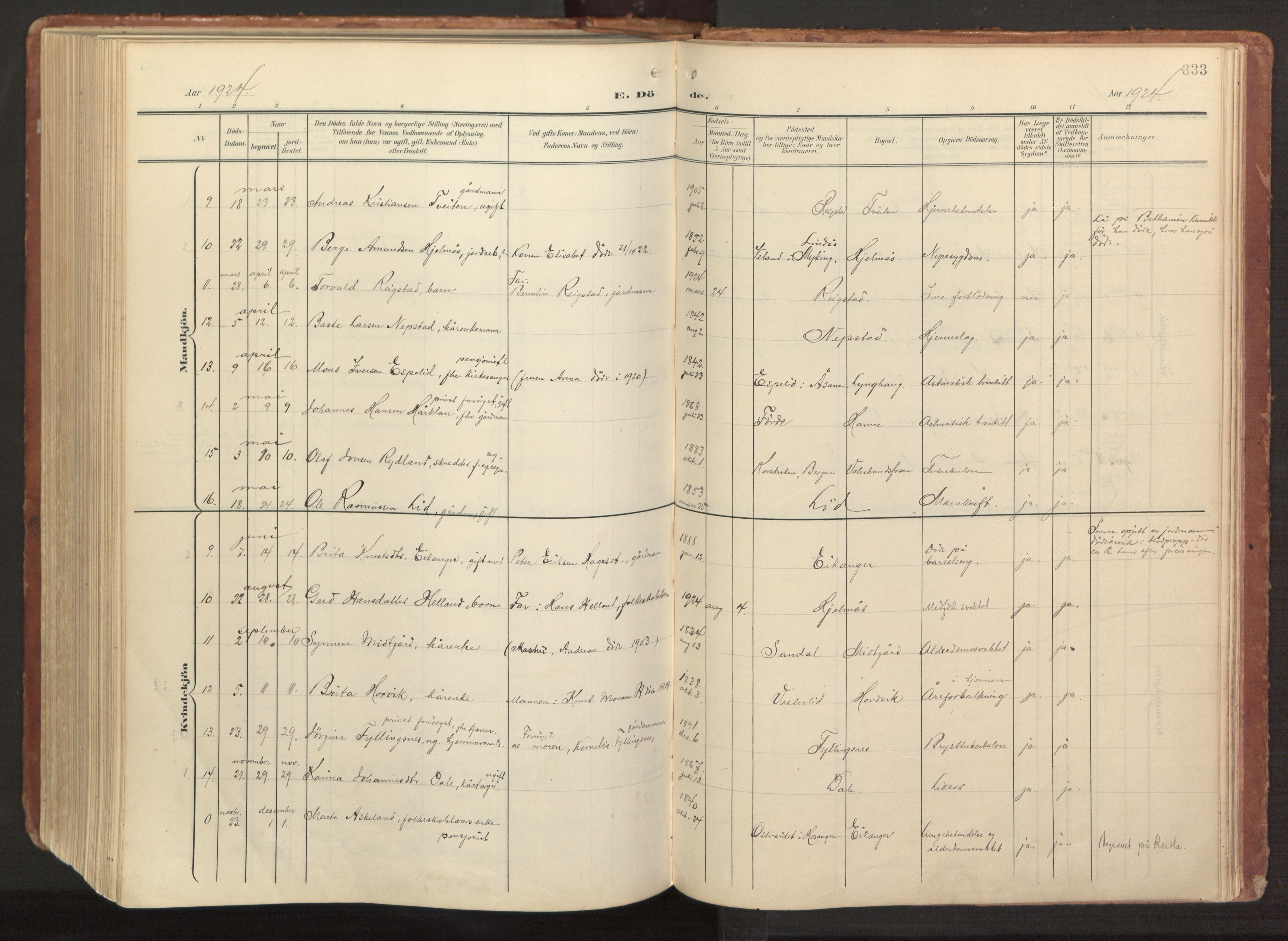 Hamre sokneprestembete, AV/SAB-A-75501/H/Ha/Haa/Haab/L0002: Parish register (official) no. B 2, 1905-1924, p. 333