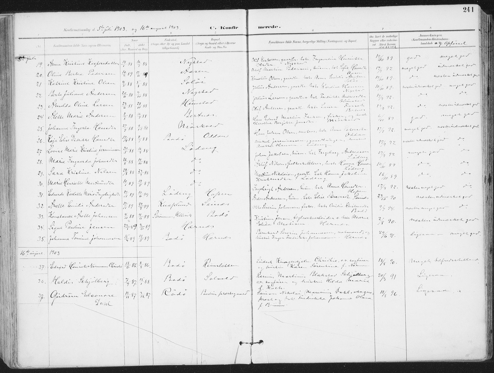 Ministerialprotokoller, klokkerbøker og fødselsregistre - Nordland, AV/SAT-A-1459/802/L0055: Parish register (official) no. 802A02, 1894-1915, p. 241