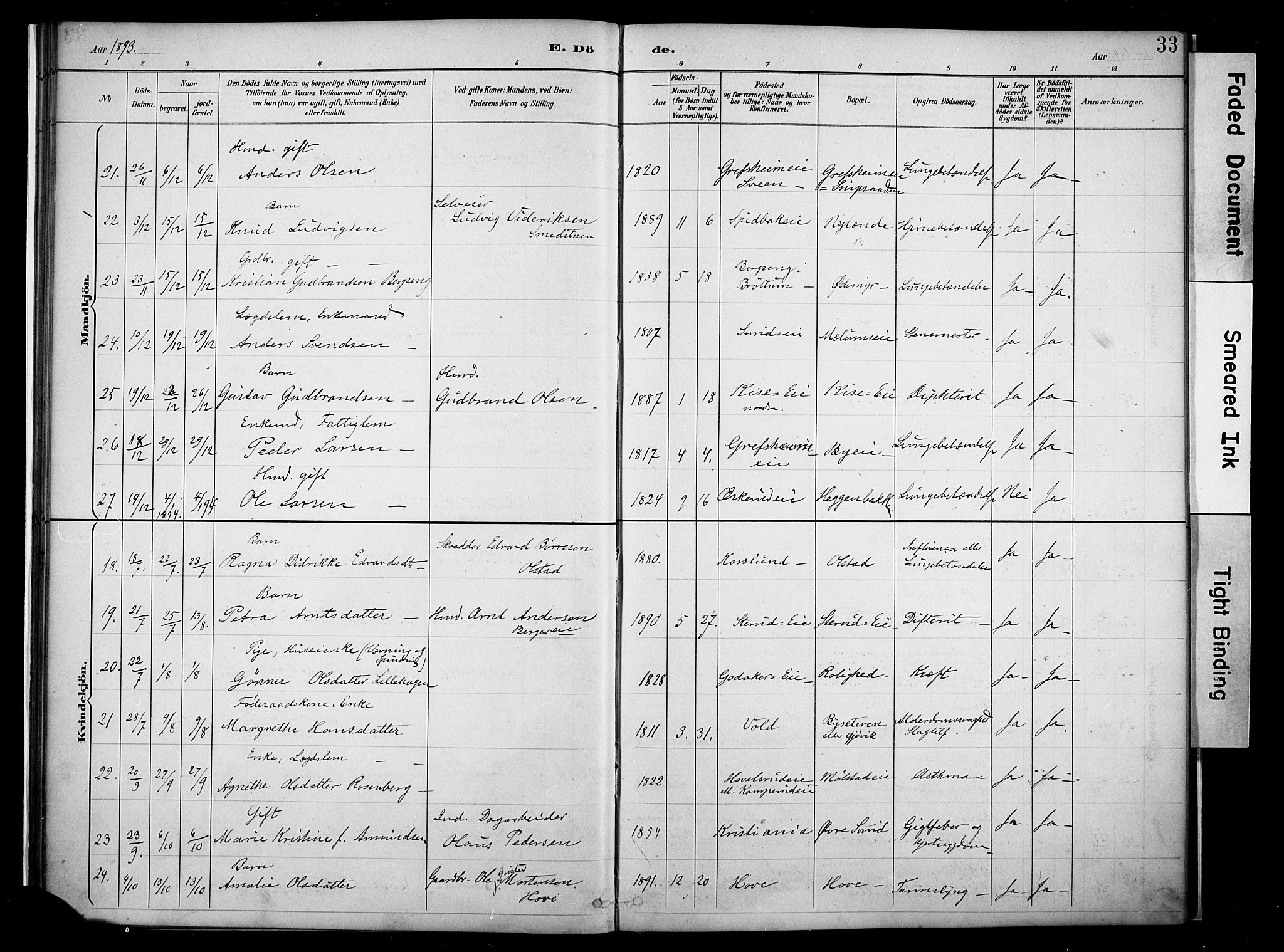 Nes prestekontor, Hedmark, AV/SAH-PREST-020/K/Ka/L0011: Parish register (official) no. 11, 1887-1905, p. 33