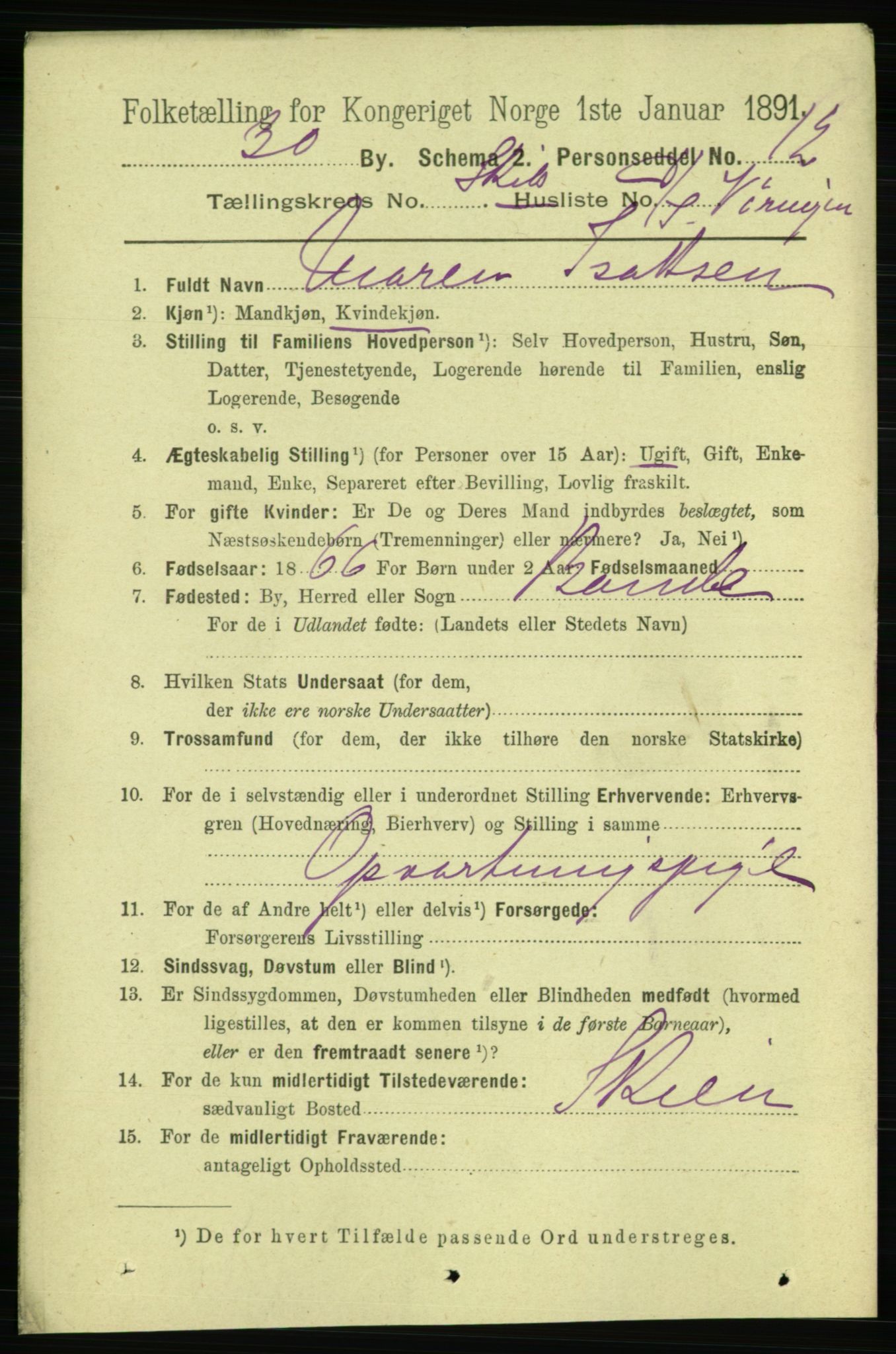 RA, 1891 census for 0806 Skien, 1891, p. 11508