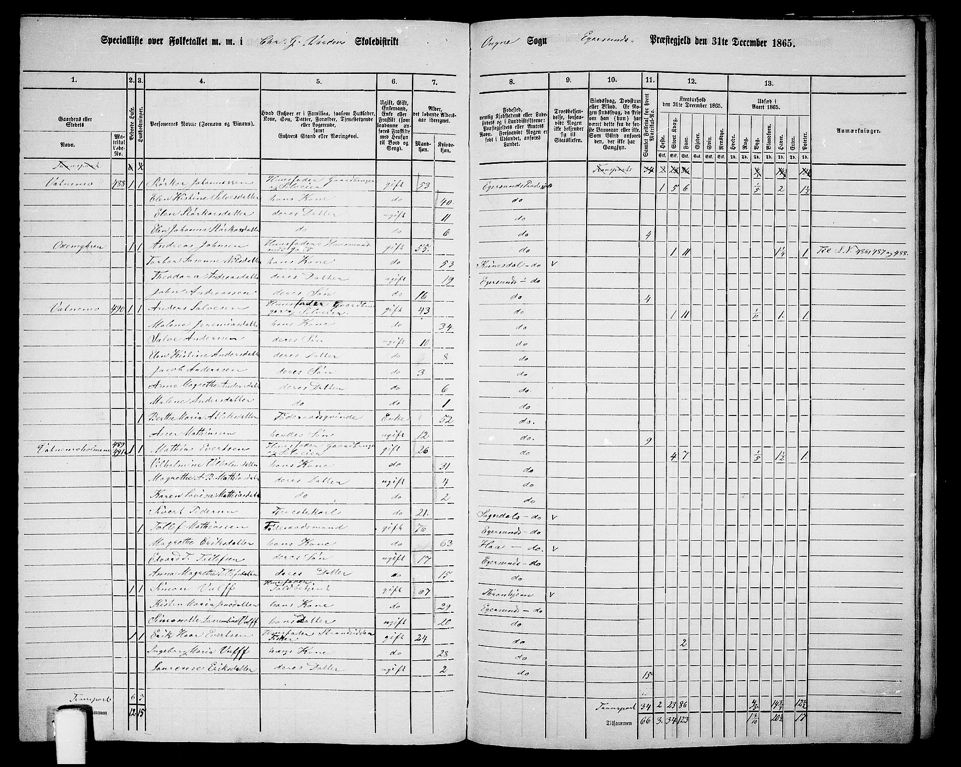 RA, 1865 census for Eigersund/Eigersund og Ogna, 1865, p. 146