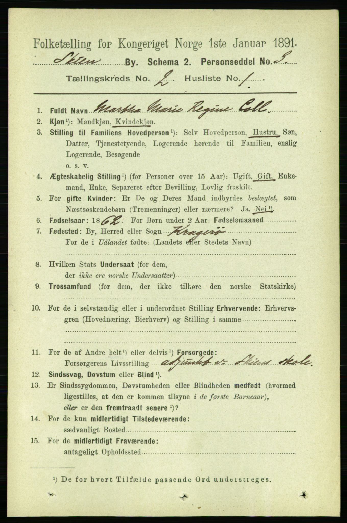 RA, 1891 census for 0806 Skien, 1891, p. 2311