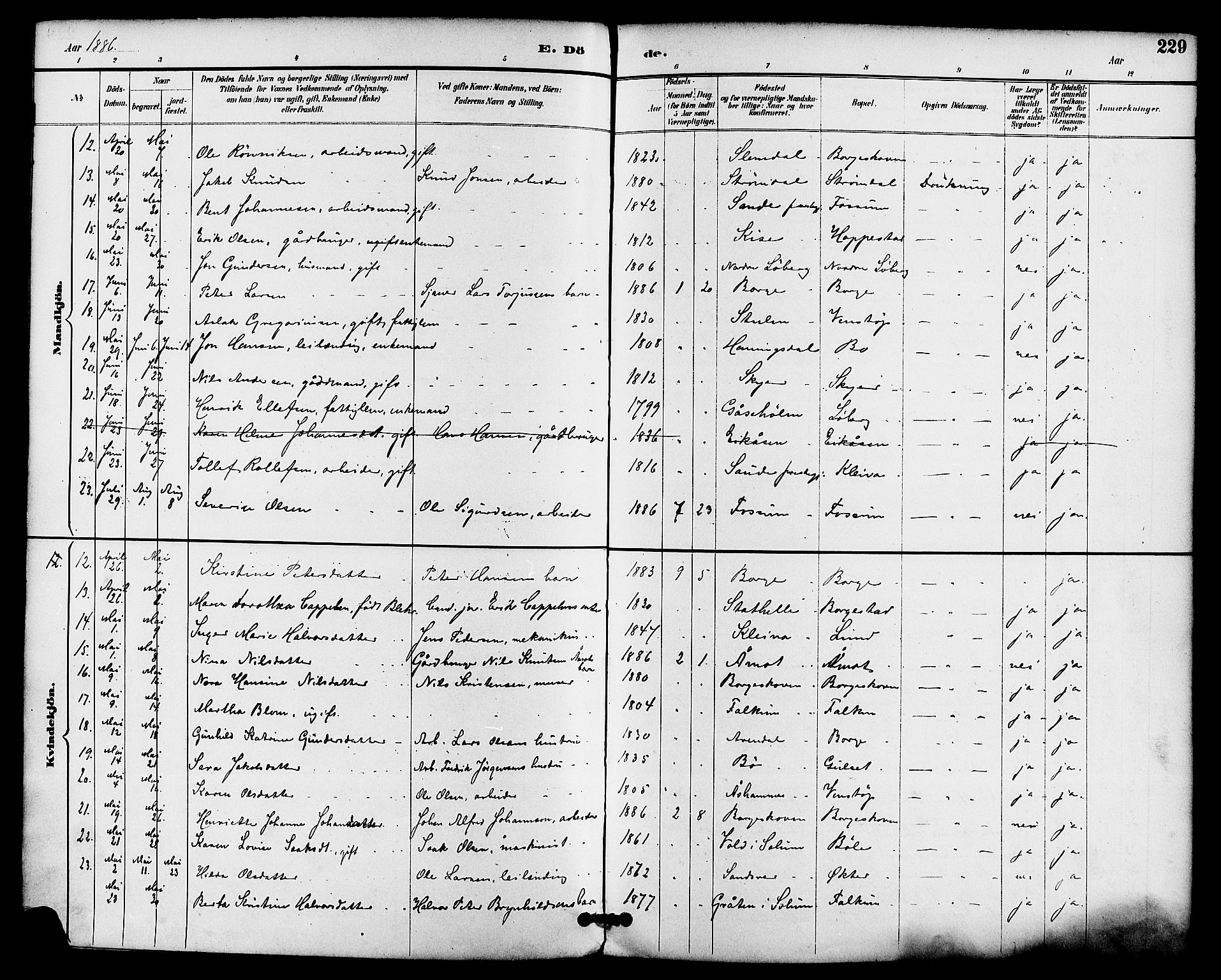 Gjerpen kirkebøker, SAKO/A-265/F/Fa/L0010: Parish register (official) no. I 10, 1886-1895, p. 229