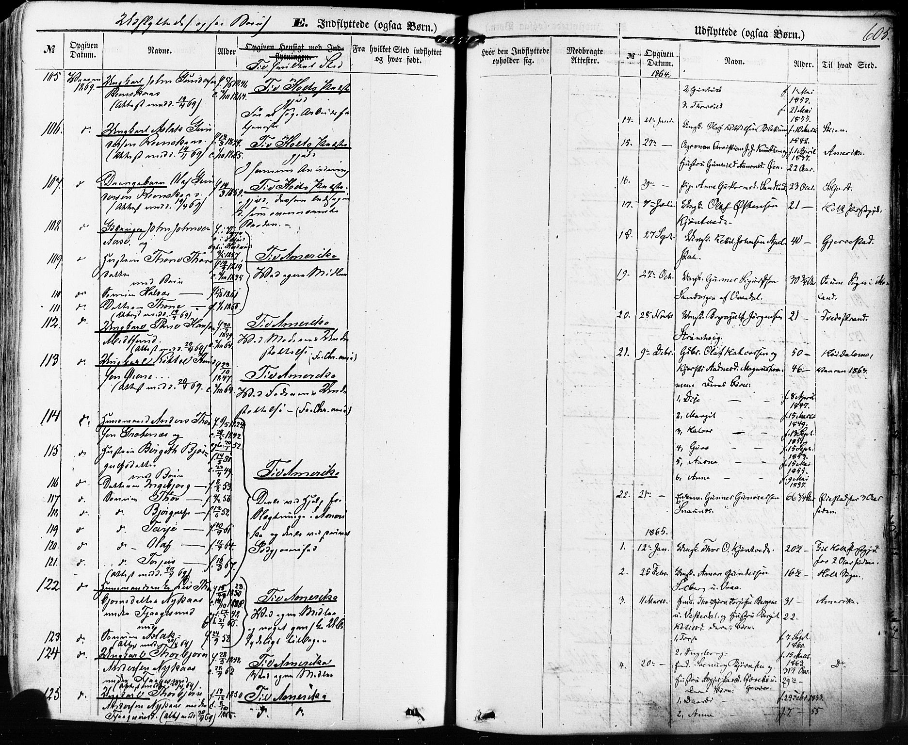Kviteseid kirkebøker, SAKO/A-276/F/Fa/L0007: Parish register (official) no. I 7, 1859-1881, p. 605