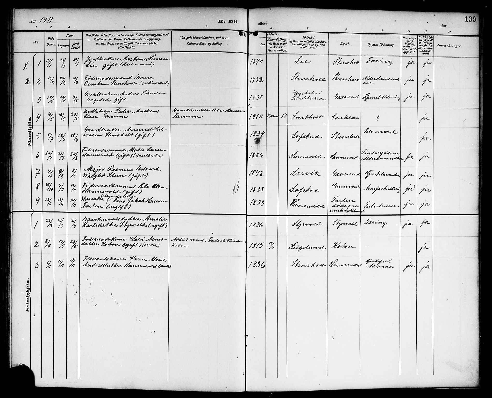 Lardal kirkebøker, AV/SAKO-A-350/G/Gc/L0002: Parish register (copy) no. III 2, 1894-1918, p. 135