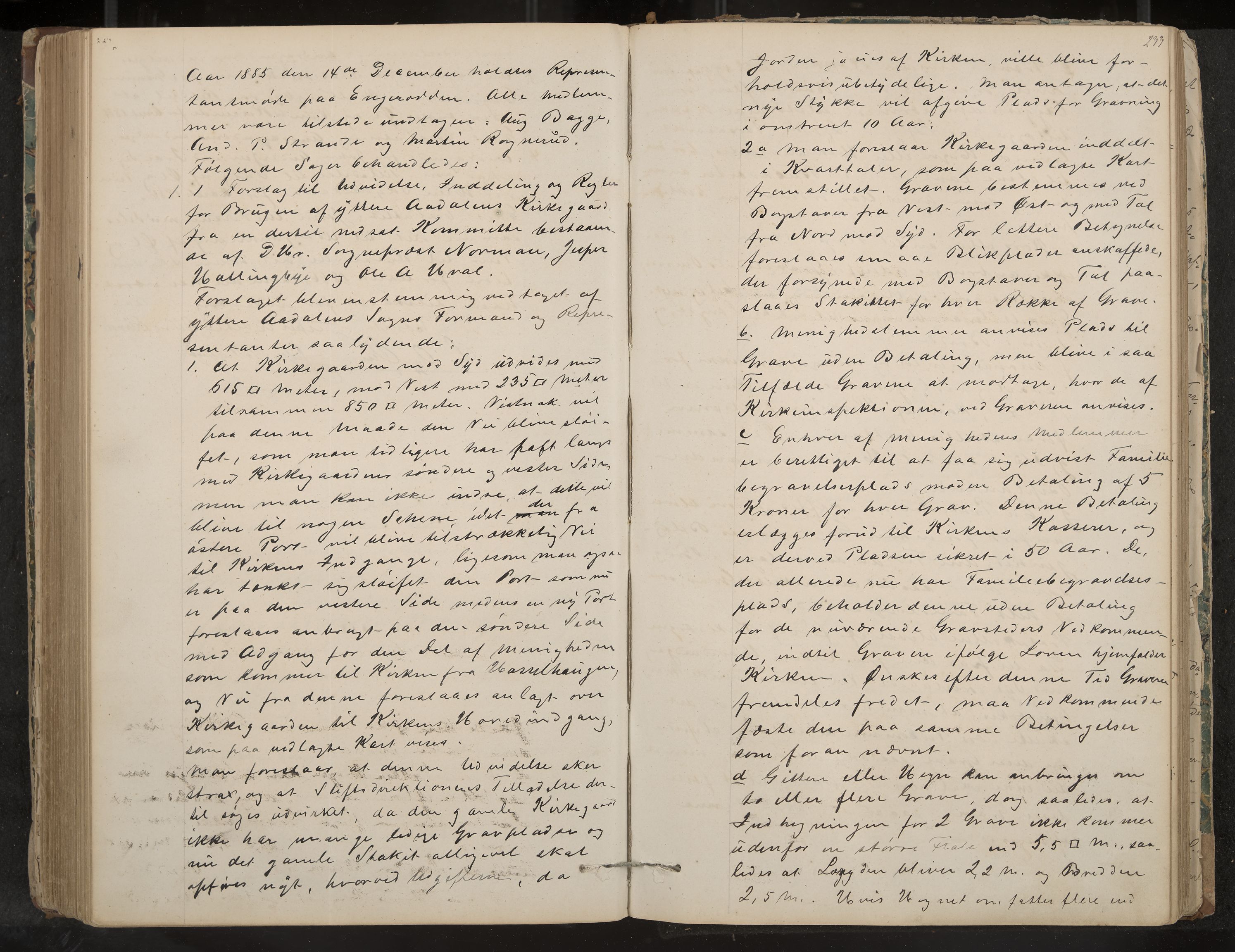 Ådal formannskap og sentraladministrasjon, IKAK/0614021/A/Aa/L0001: Møtebok, 1858-1891, p. 233