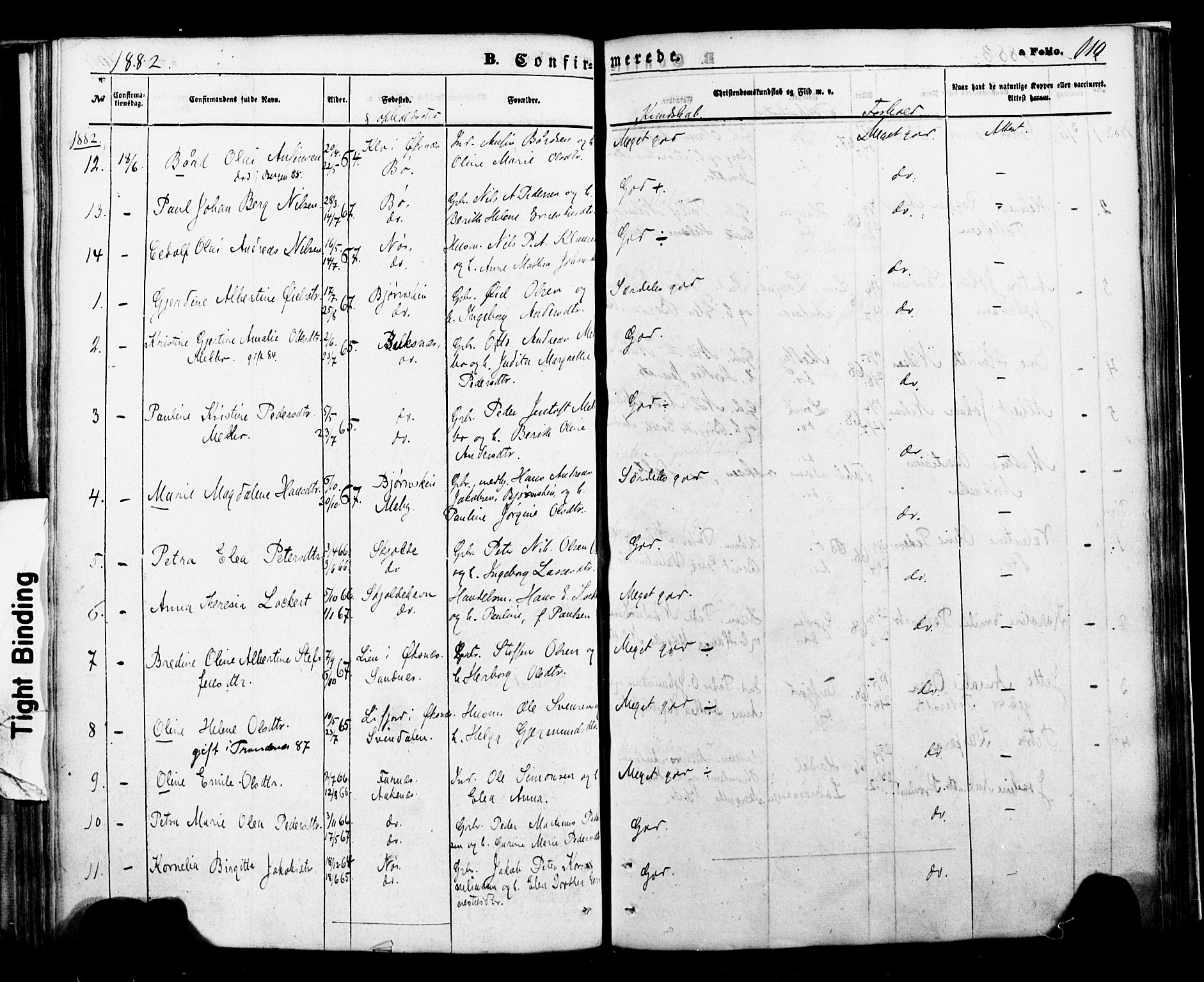 Ministerialprotokoller, klokkerbøker og fødselsregistre - Nordland, AV/SAT-A-1459/898/L1421: Parish register (official) no. 898A01, 1866-1886, p. 110