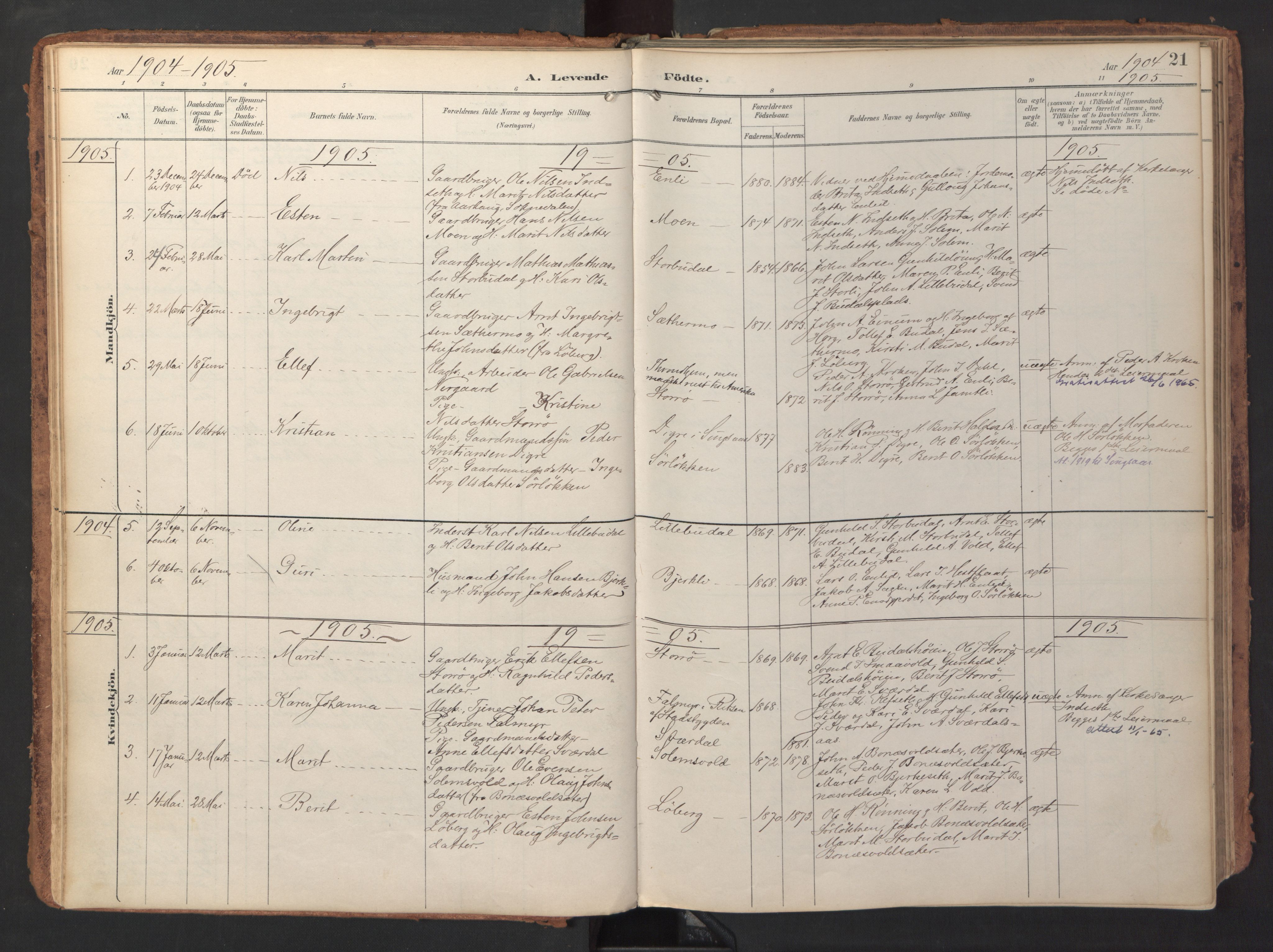 Ministerialprotokoller, klokkerbøker og fødselsregistre - Sør-Trøndelag, AV/SAT-A-1456/690/L1050: Parish register (official) no. 690A01, 1889-1929, p. 21