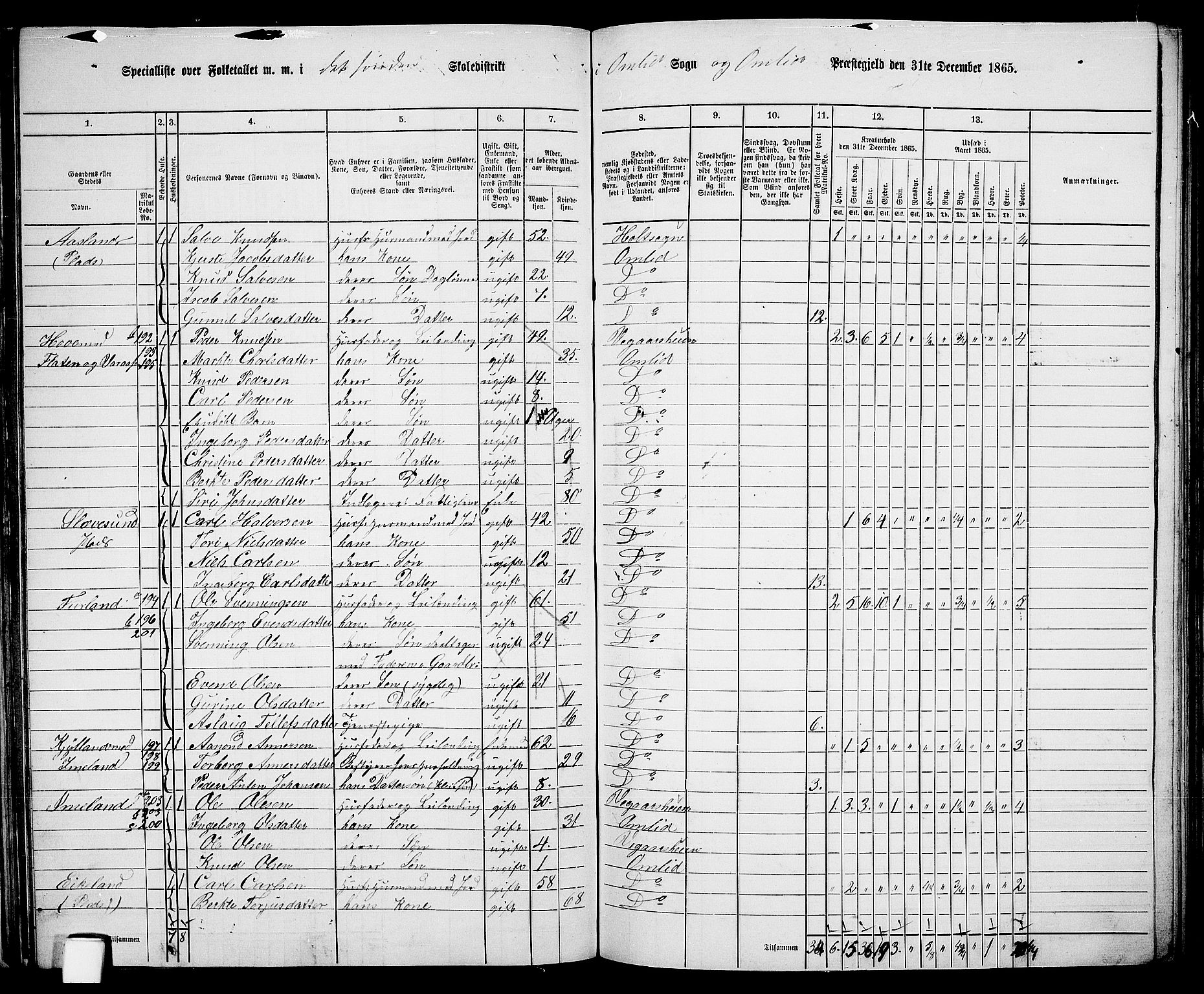 RA, 1865 census for Åmli, 1865, p. 61