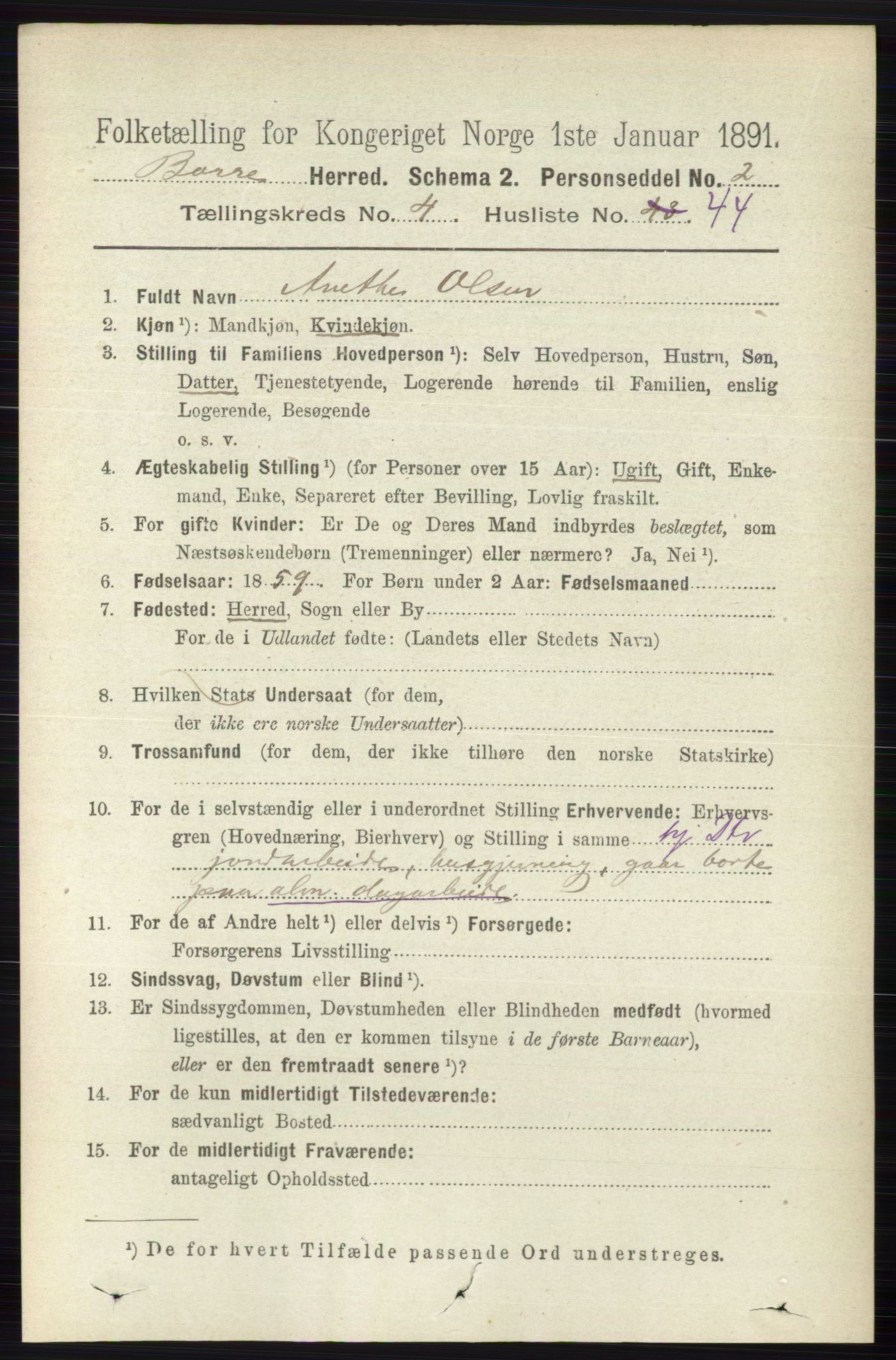 RA, 1891 census for 0717 Borre, 1891, p. 1903