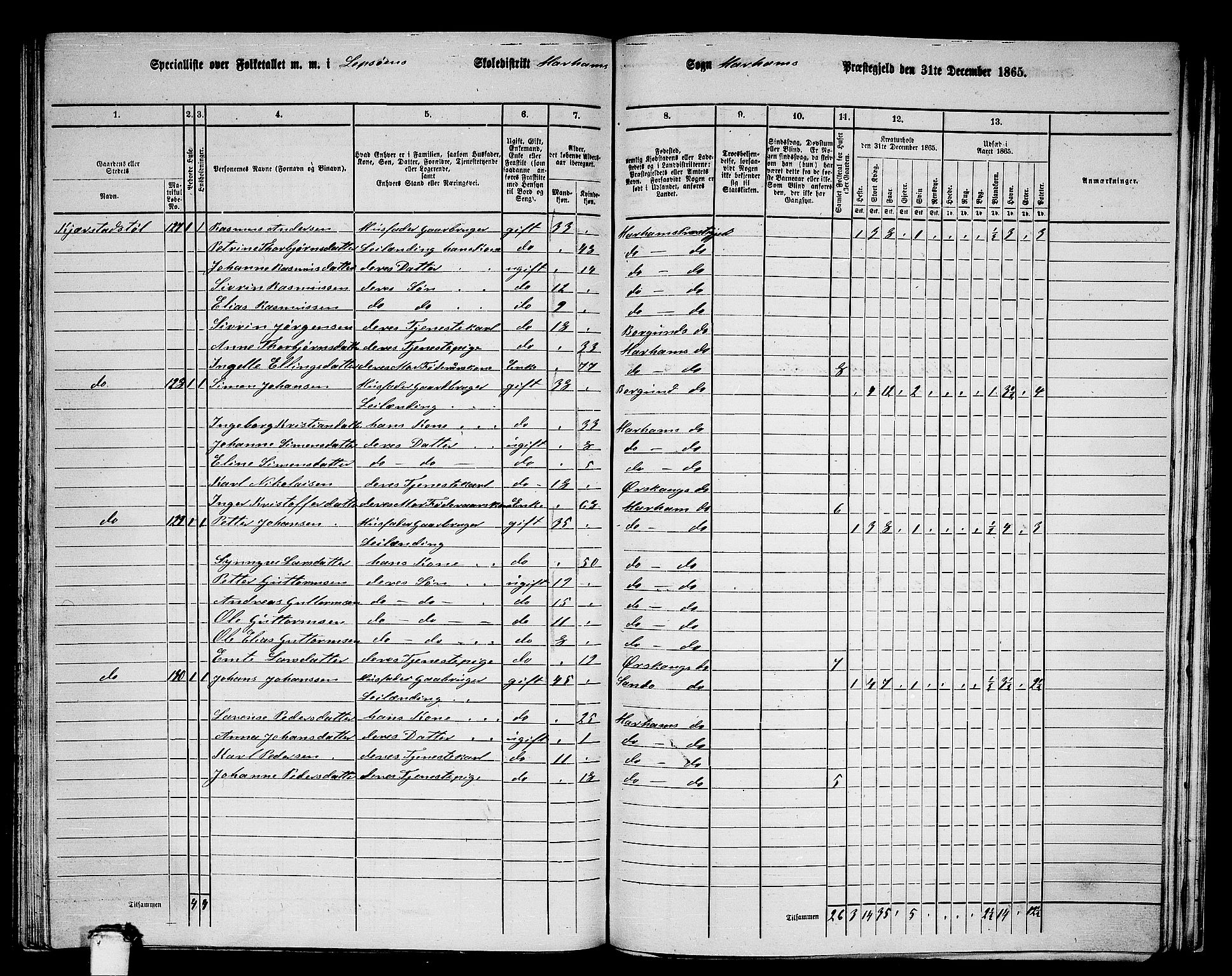 RA, 1865 census for Haram, 1865, p. 60