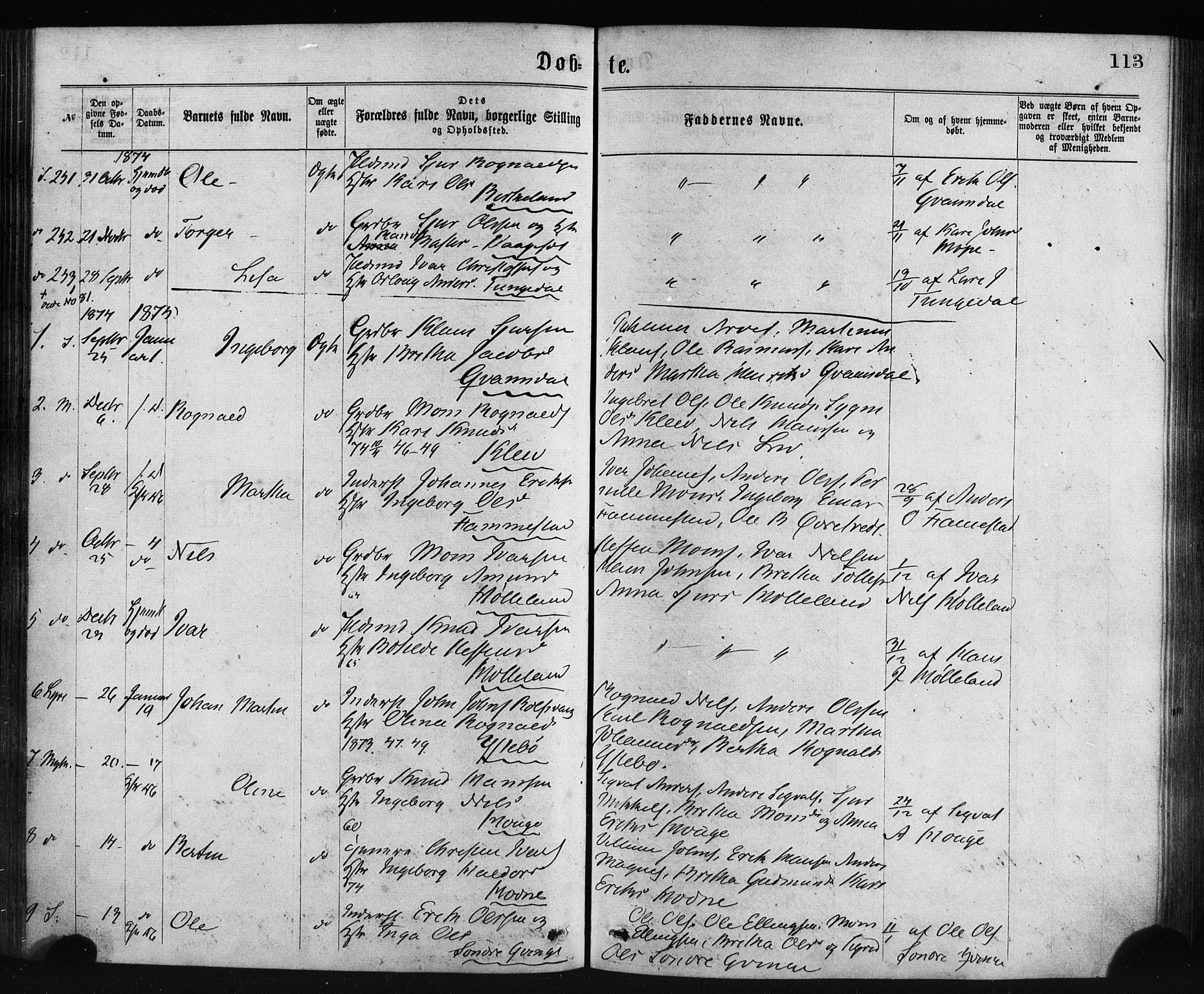 Lindås Sokneprestembete, SAB/A-76701/H/Haa: Parish register (official) no. A 18, 1869-1885, p. 113