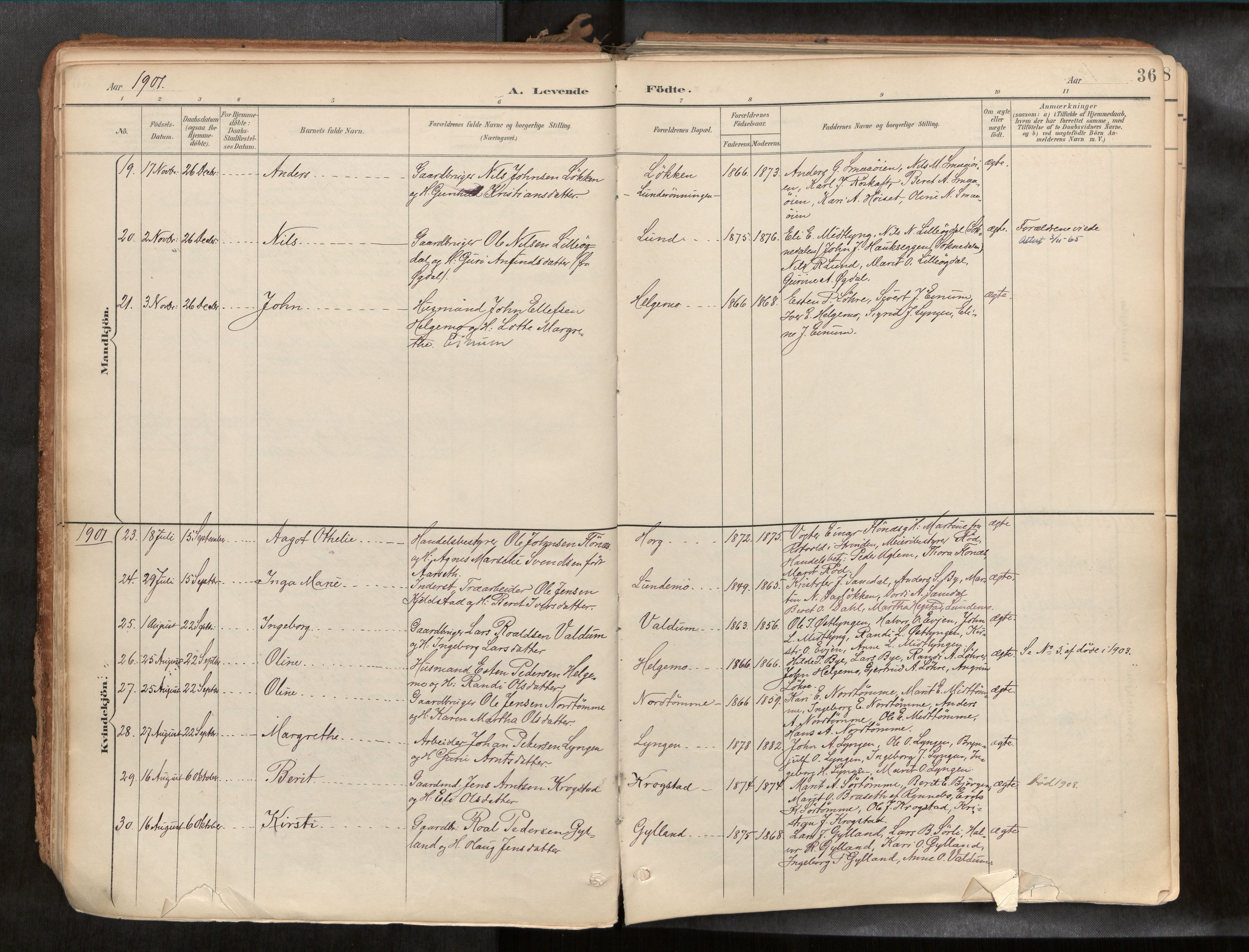 Ministerialprotokoller, klokkerbøker og fødselsregistre - Sør-Trøndelag, AV/SAT-A-1456/692/L1105b: Parish register (official) no. 692A06, 1891-1934, p. 36