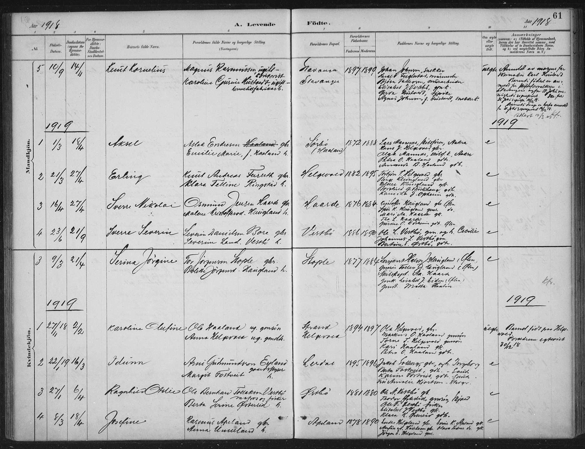 Vikedal sokneprestkontor, AV/SAST-A-101840/01/IV: Parish register (official) no. A 11, 1884-1933, p. 61