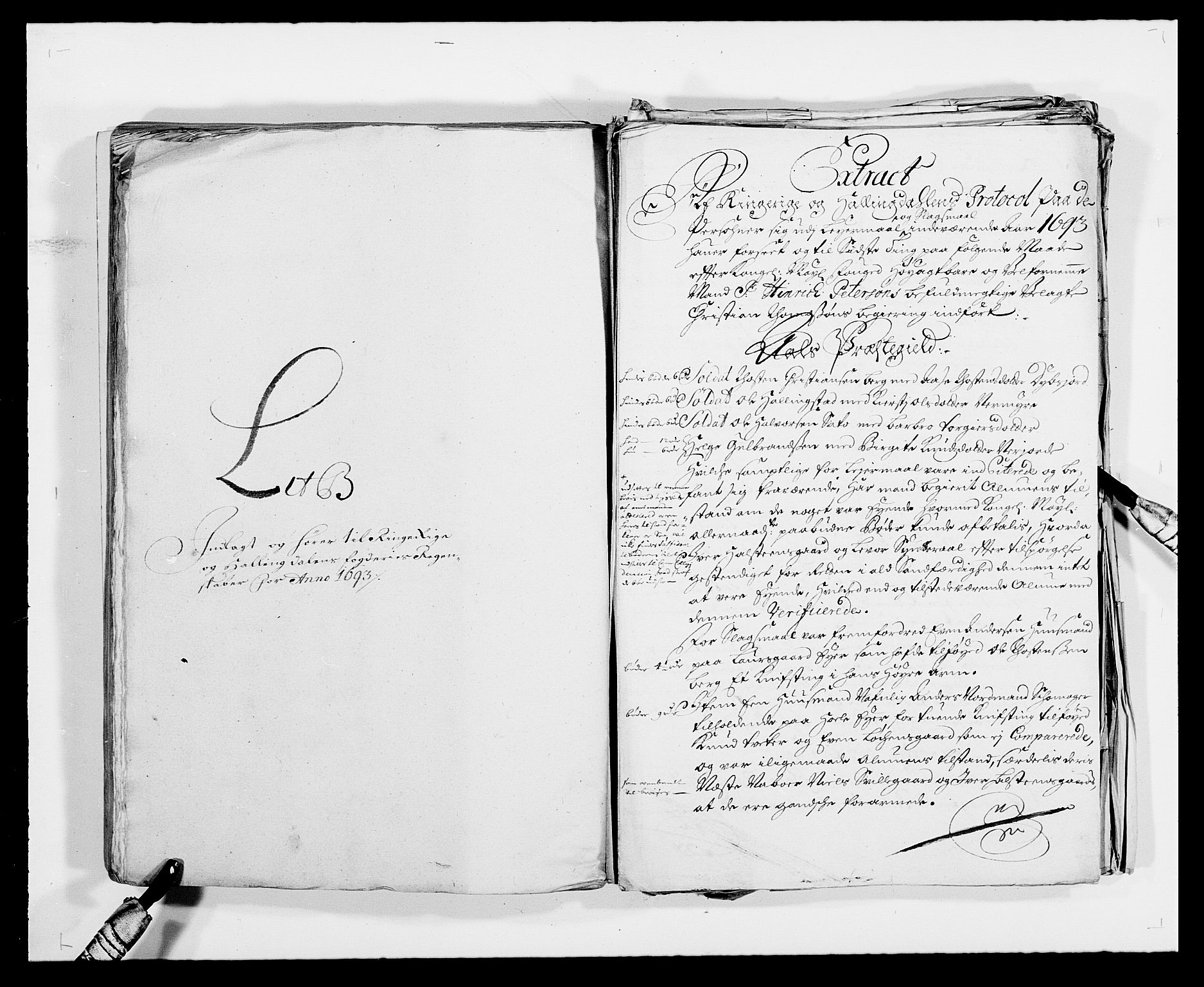 Rentekammeret inntil 1814, Reviderte regnskaper, Fogderegnskap, RA/EA-4092/R21/L1450: Fogderegnskap Ringerike og Hallingdal, 1693, p. 102