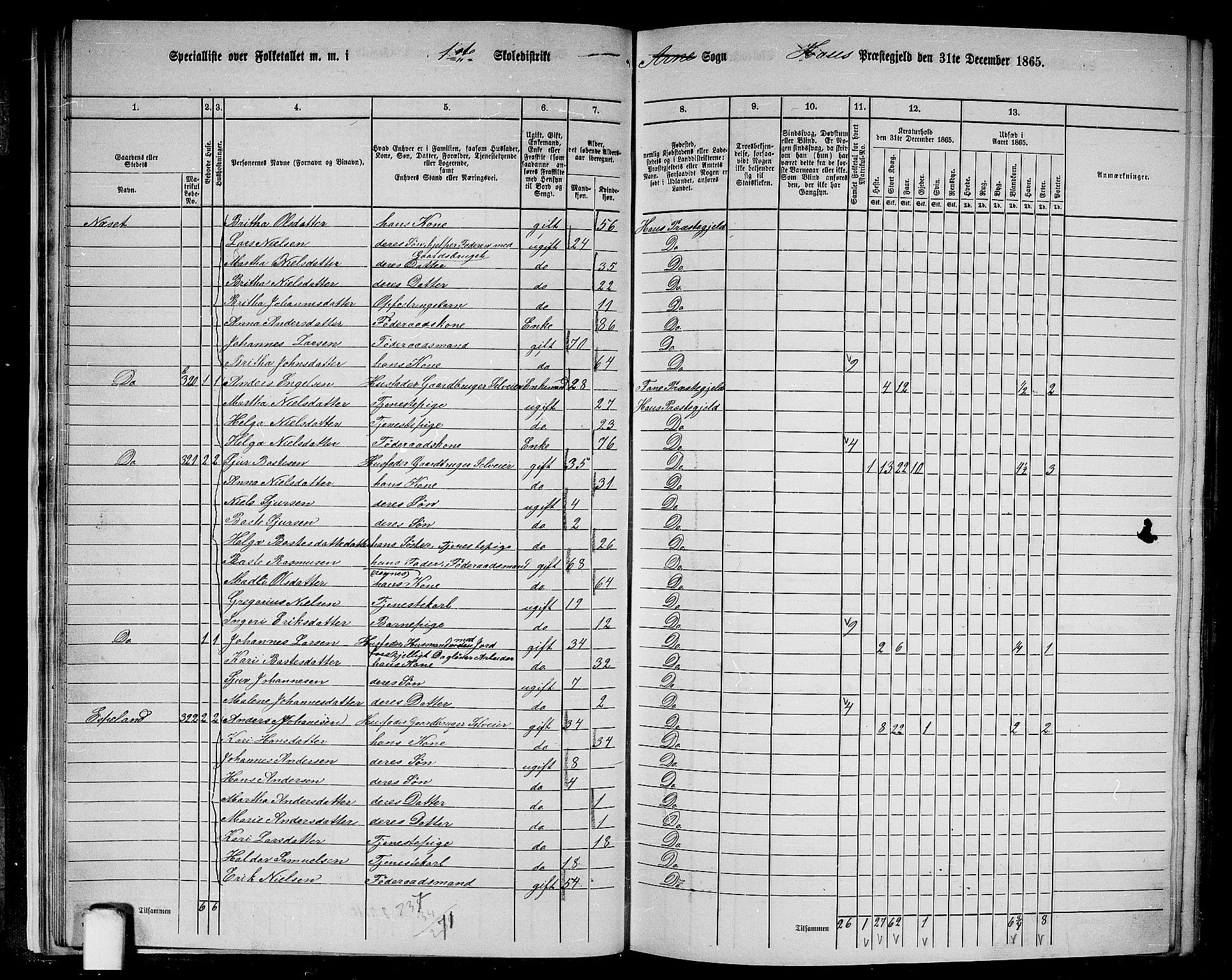 RA, 1865 census for Haus, 1865, p. 25