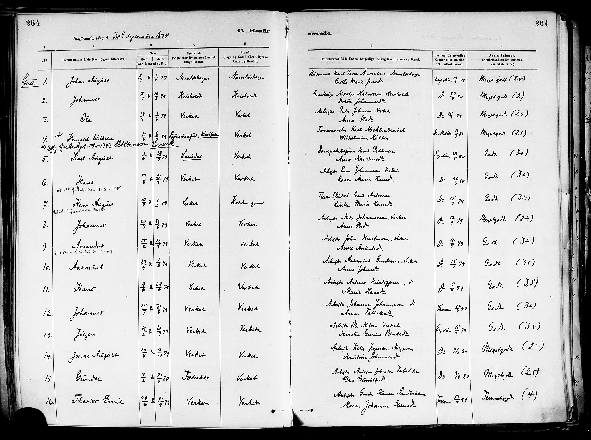 Holla kirkebøker, SAKO/A-272/F/Fa/L0008: Parish register (official) no. 8, 1882-1897, p. 264