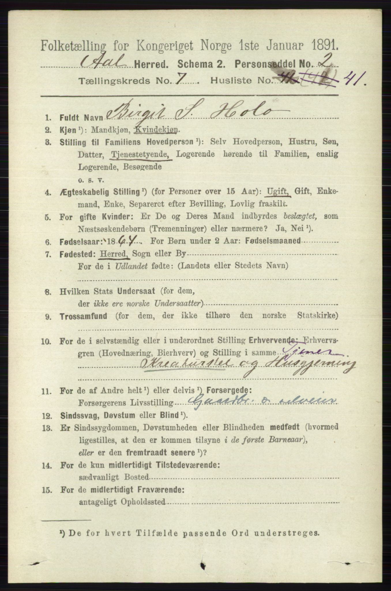 RA, 1891 census for 0619 Ål, 1891, p. 2015