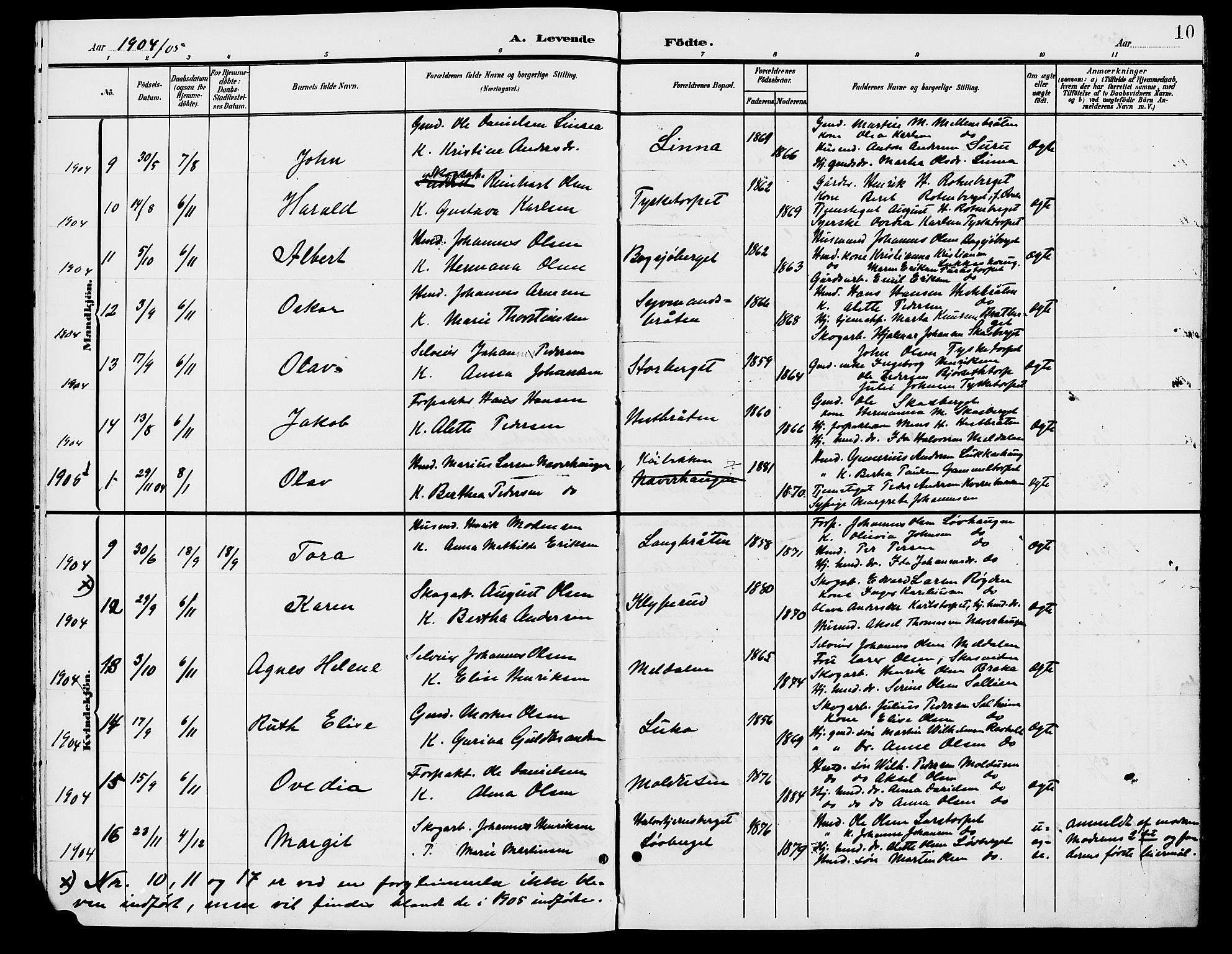 Grue prestekontor, AV/SAH-PREST-036/H/Ha/Hab/L0006: Parish register (copy) no. 6, 1902-1910, p. 10