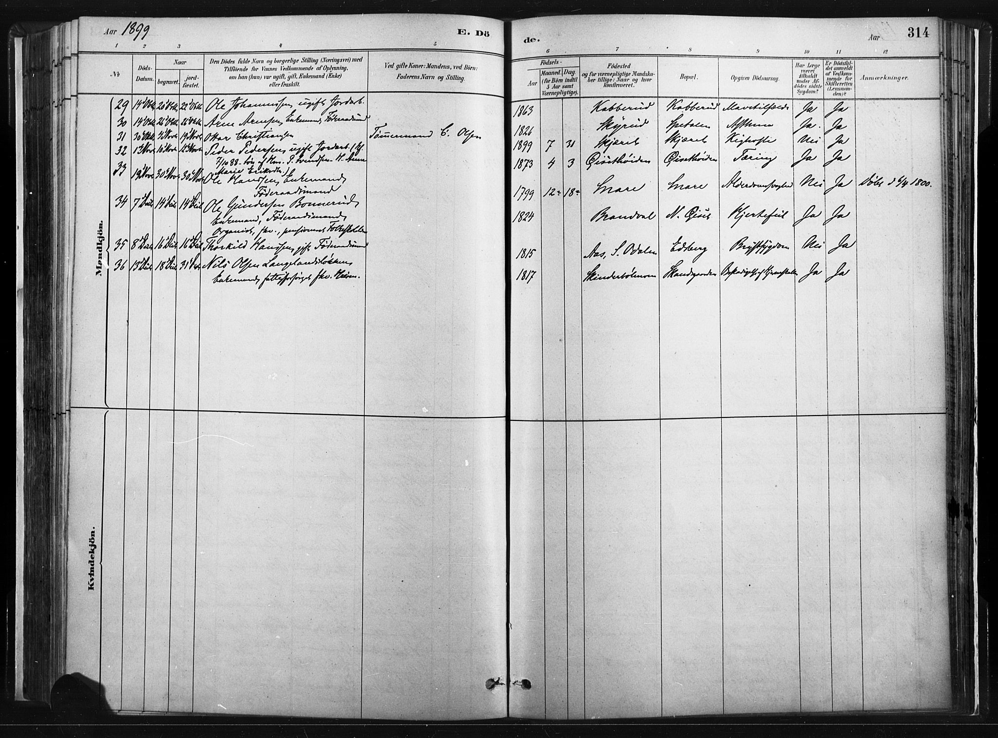 Vinger prestekontor, AV/SAH-PREST-024/H/Ha/Haa/L0014: Parish register (official) no. 14, 1881-1900, p. 314