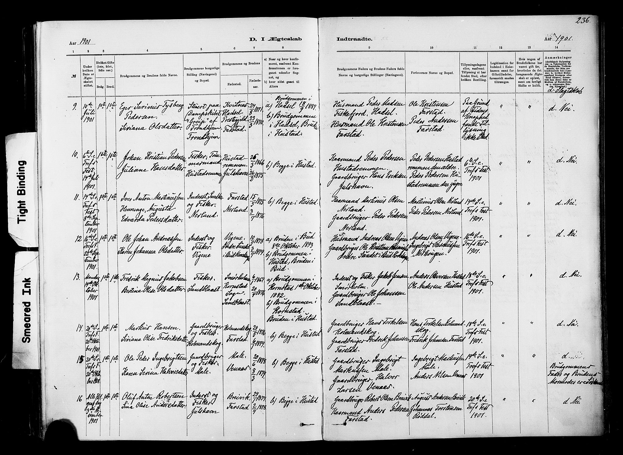 Ministerialprotokoller, klokkerbøker og fødselsregistre - Møre og Romsdal, AV/SAT-A-1454/567/L0778: Parish register (official) no. 567A01, 1881-1903, p. 236