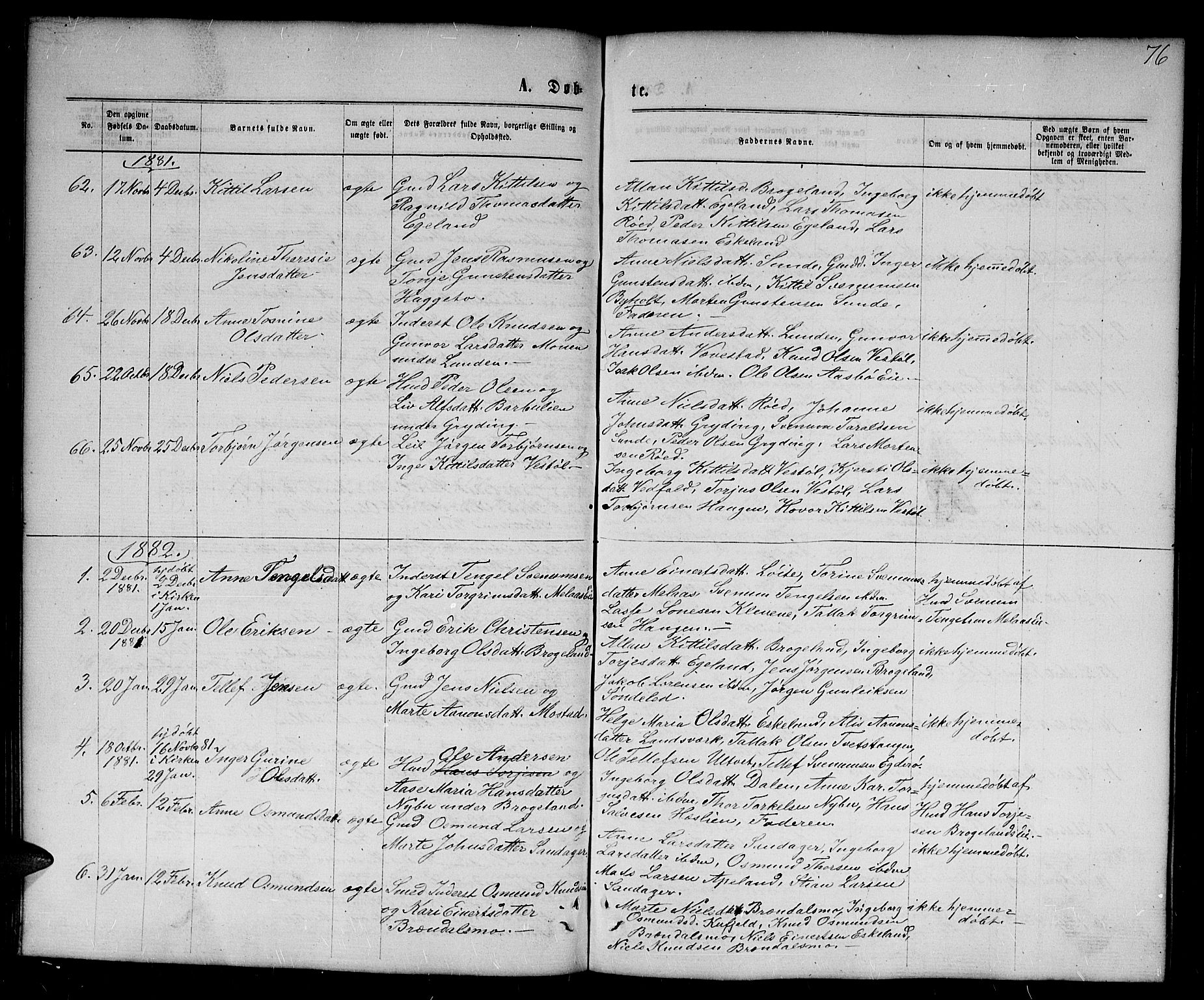 Gjerstad sokneprestkontor, SAK/1111-0014/F/Fb/Fba/L0006: Parish register (copy) no. B 6, 1868-1890, p. 76