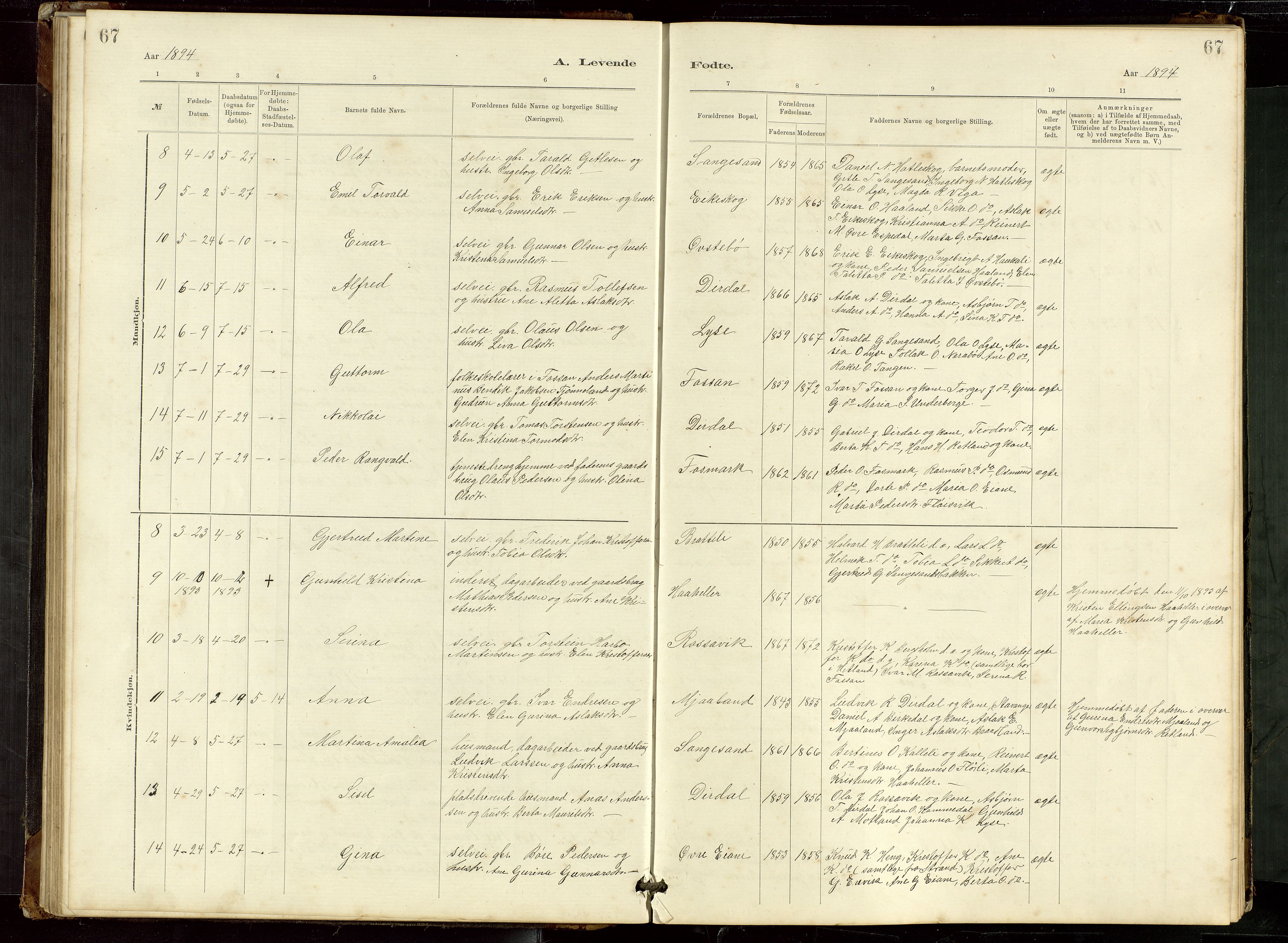 Høgsfjord sokneprestkontor, AV/SAST-A-101624/H/Ha/Hab/L0009: Parish register (copy) no. B 9, 1883-1920, p. 67