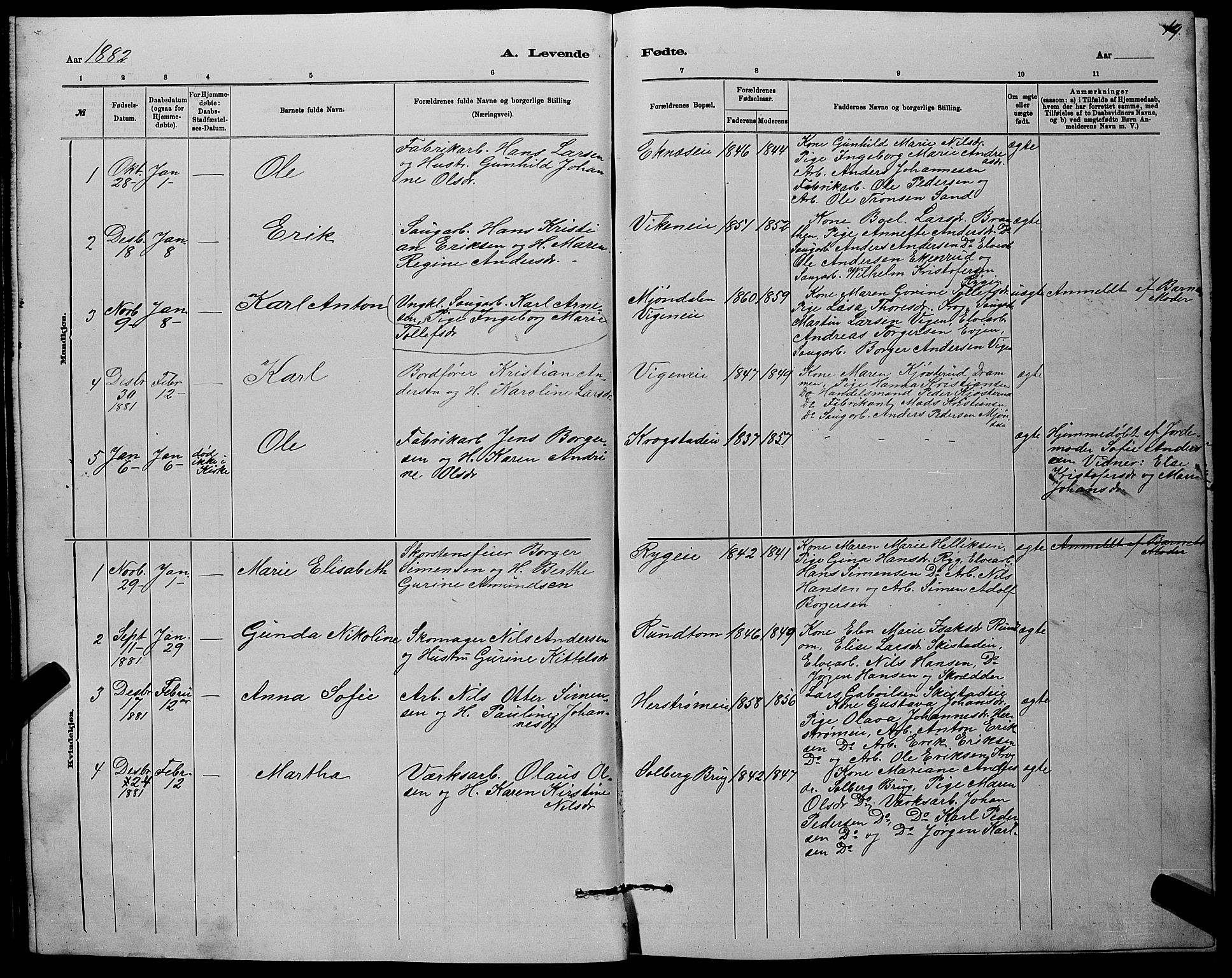 Nedre Eiker kirkebøker, AV/SAKO-A-612/G/Ga/L0002: Parish register (copy) no. 2, 1880-1896, p. 19