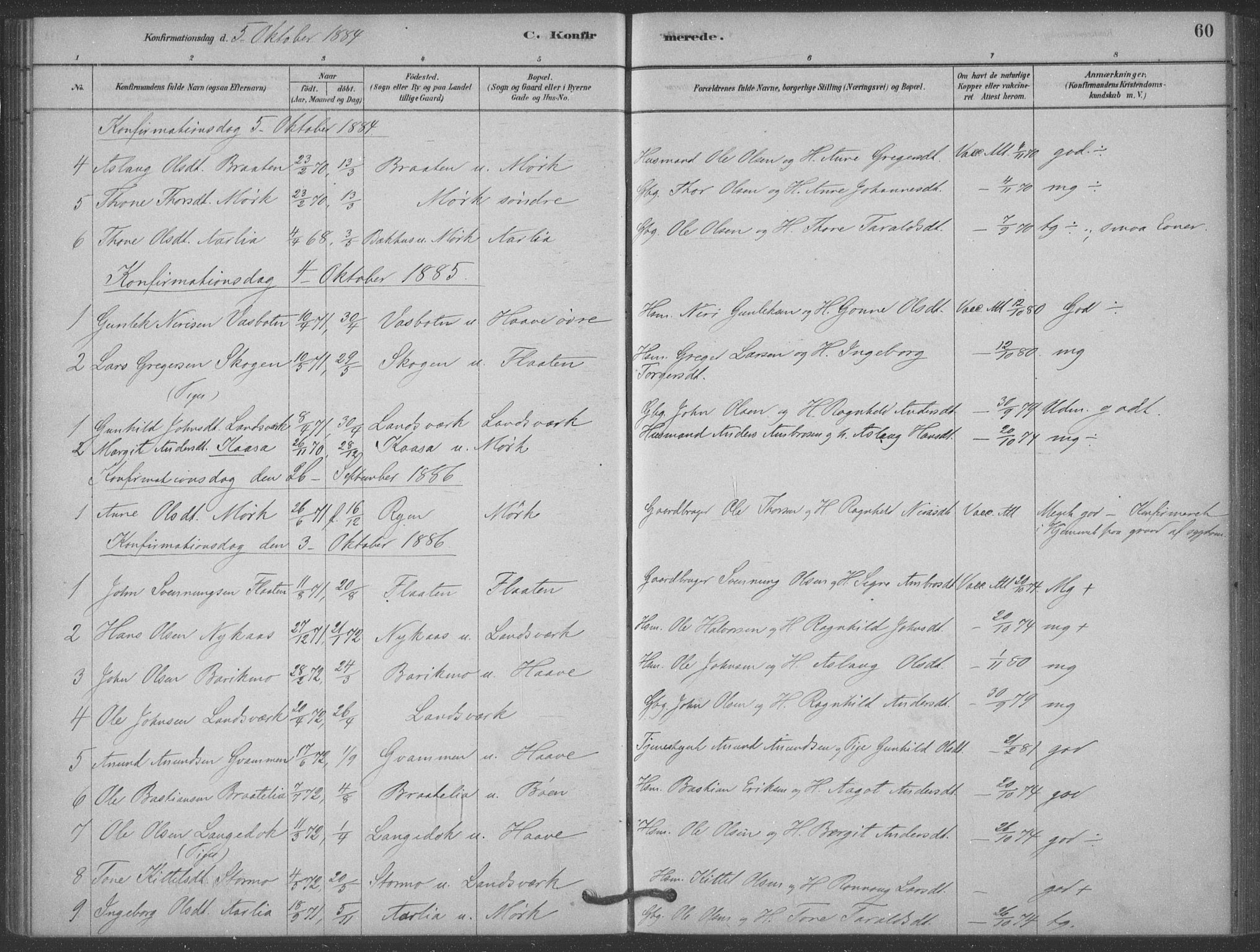 Heddal kirkebøker, AV/SAKO-A-268/F/Fb/L0002: Parish register (official) no. II 2, 1878-1913, p. 60