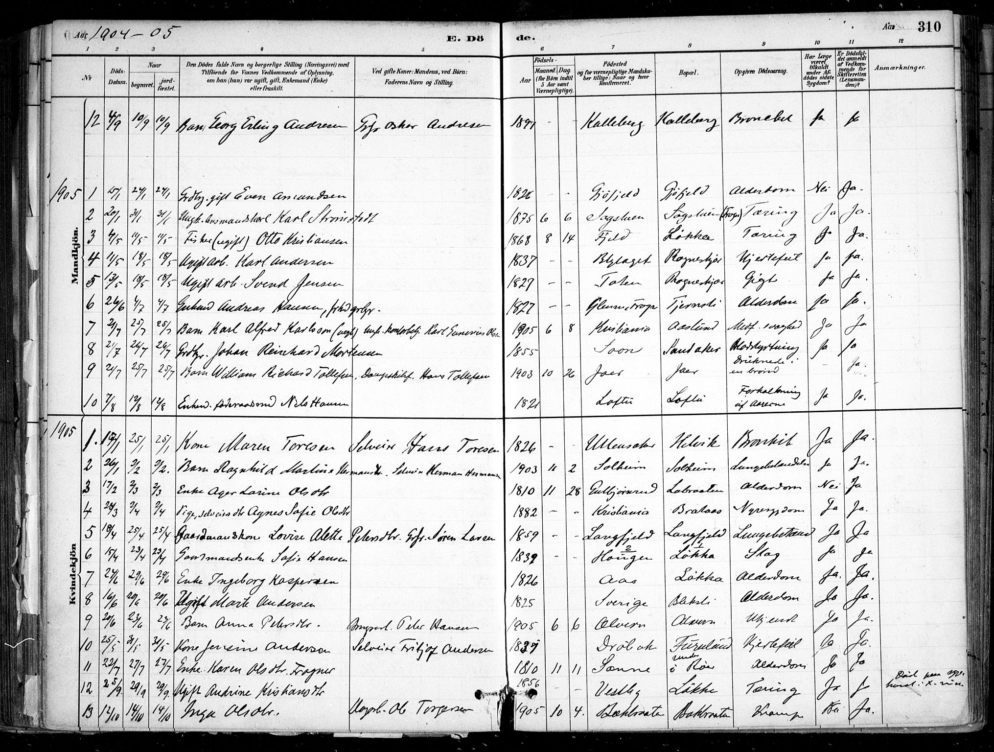 Nesodden prestekontor Kirkebøker, SAO/A-10013/F/Fa/L0009: Parish register (official) no. I 9, 1880-1915, p. 310
