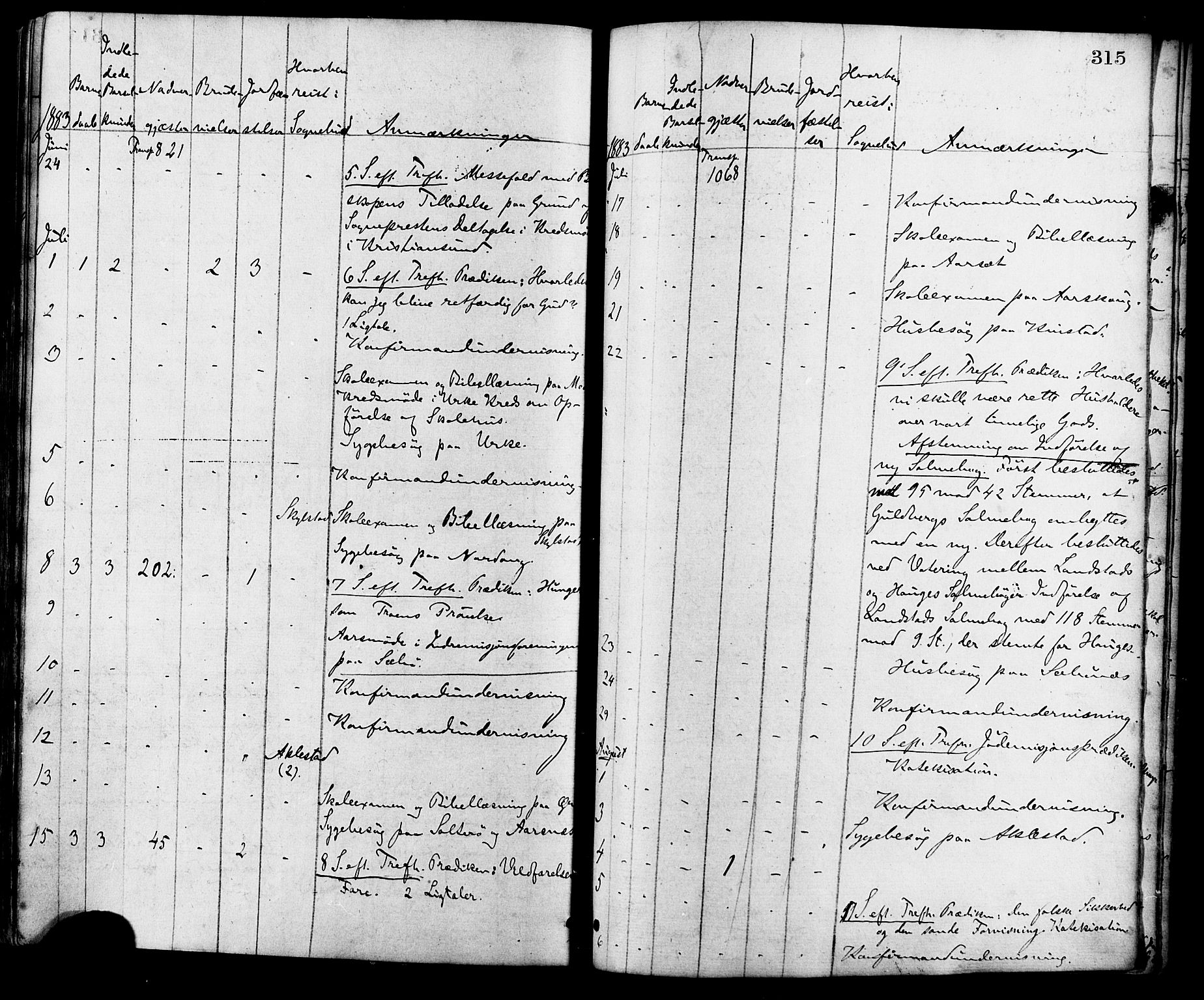 Ministerialprotokoller, klokkerbøker og fødselsregistre - Møre og Romsdal, SAT/A-1454/515/L0210: Parish register (official) no. 515A06, 1868-1885, p. 315