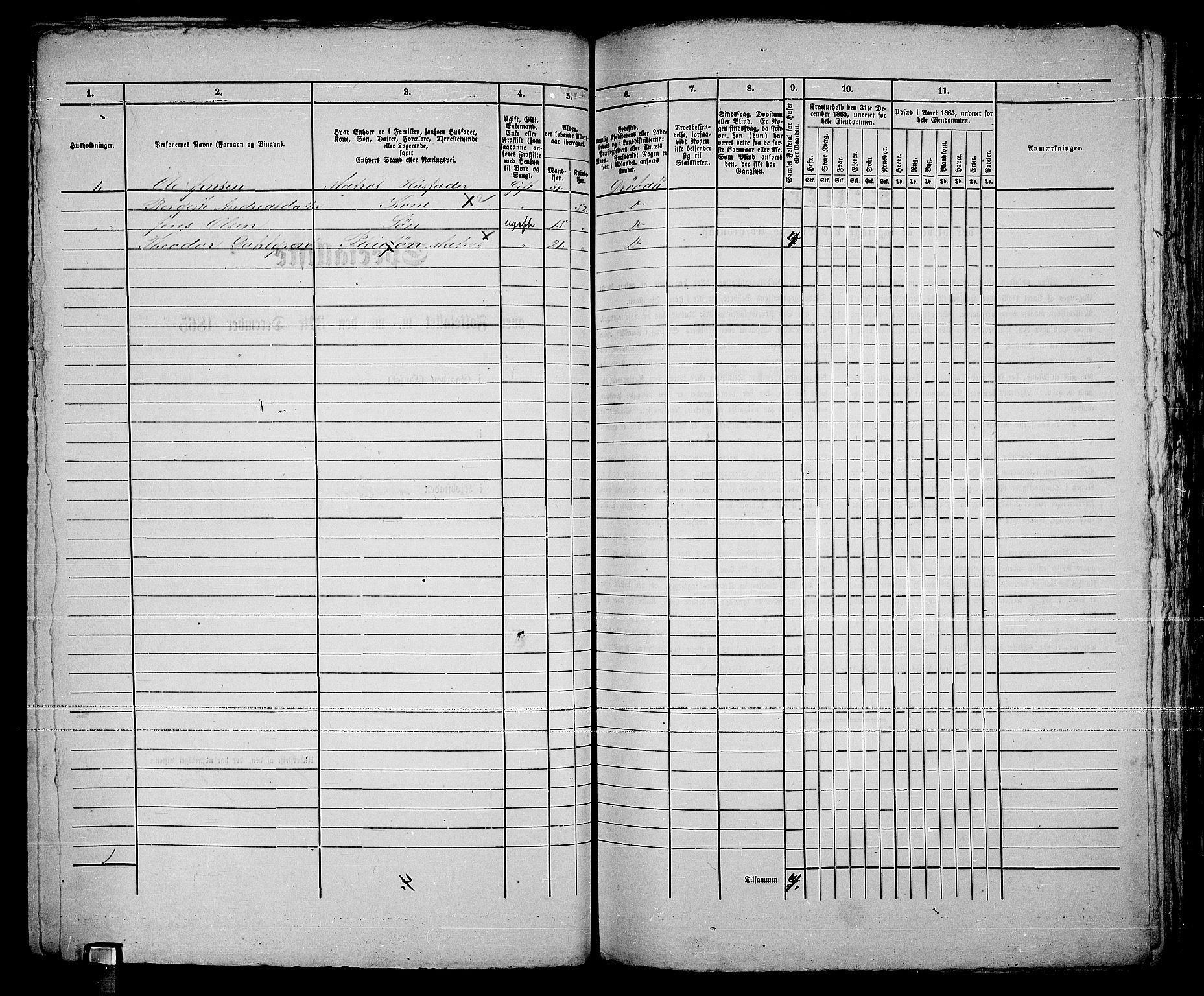 RA, 1865 census for Drøbak/Drøbak, 1865, p. 278