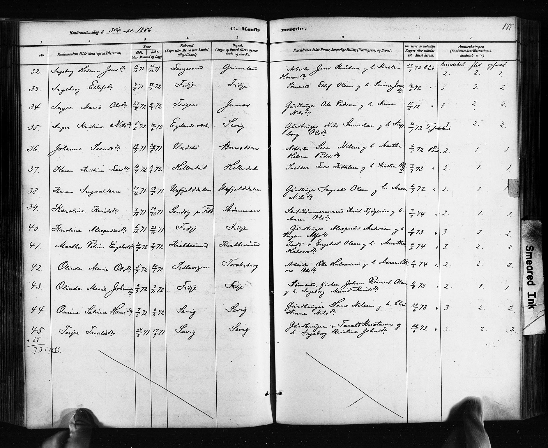 Søndeled sokneprestkontor, AV/SAK-1111-0038/F/Fa/L0004: Parish register (official) no. A 4, 1880-1889, p. 177