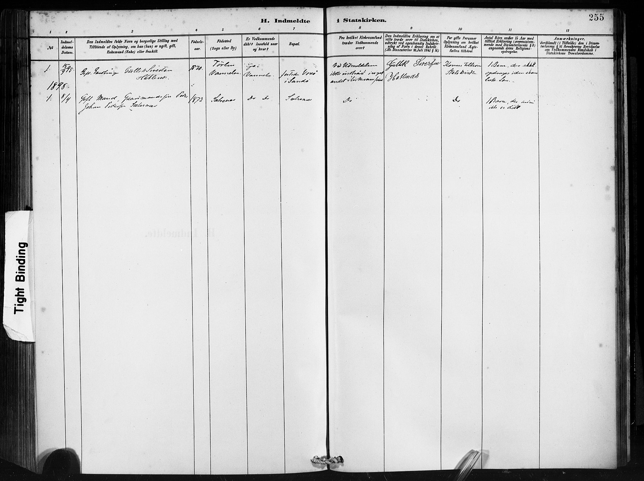 Ministerialprotokoller, klokkerbøker og fødselsregistre - Møre og Romsdal, AV/SAT-A-1454/501/L0008: Parish register (official) no. 501A08, 1885-1901, p. 255