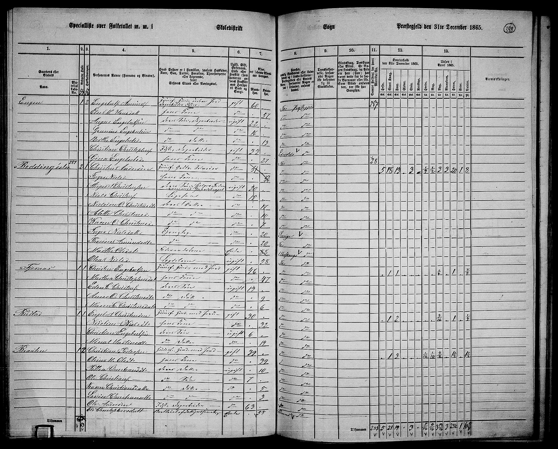 RA, 1865 census for Nes, 1865, p. 318