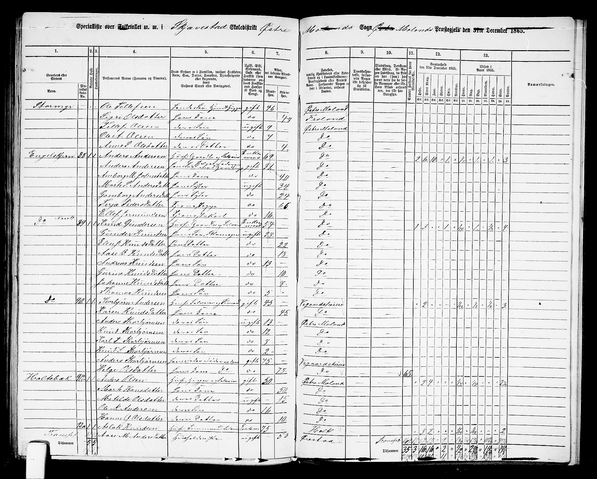 RA, 1865 census for Austre Moland, 1865, p. 314