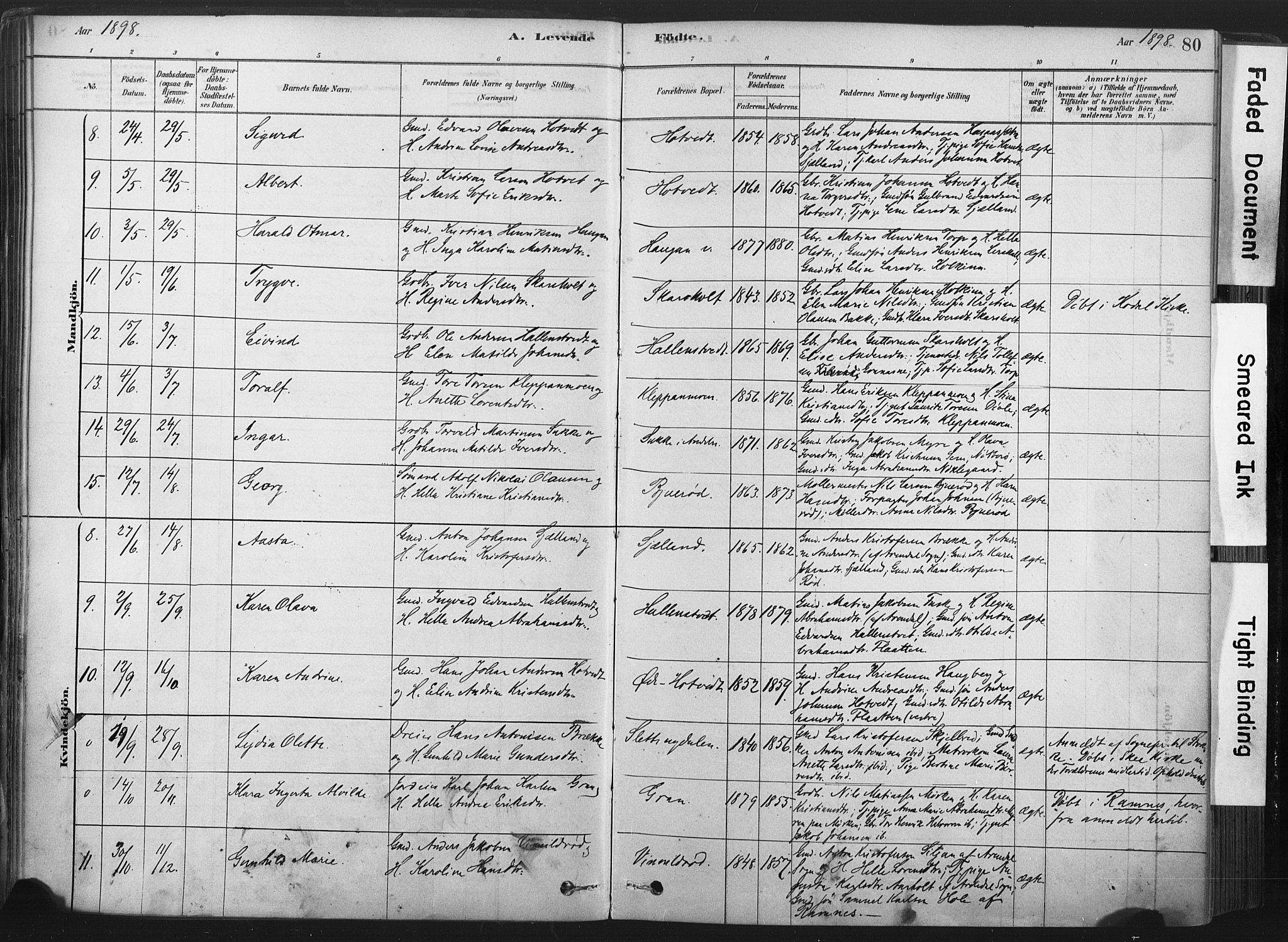 Andebu kirkebøker, AV/SAKO-A-336/F/Fa/L0007: Parish register (official) no. 7, 1878-1899, p. 80