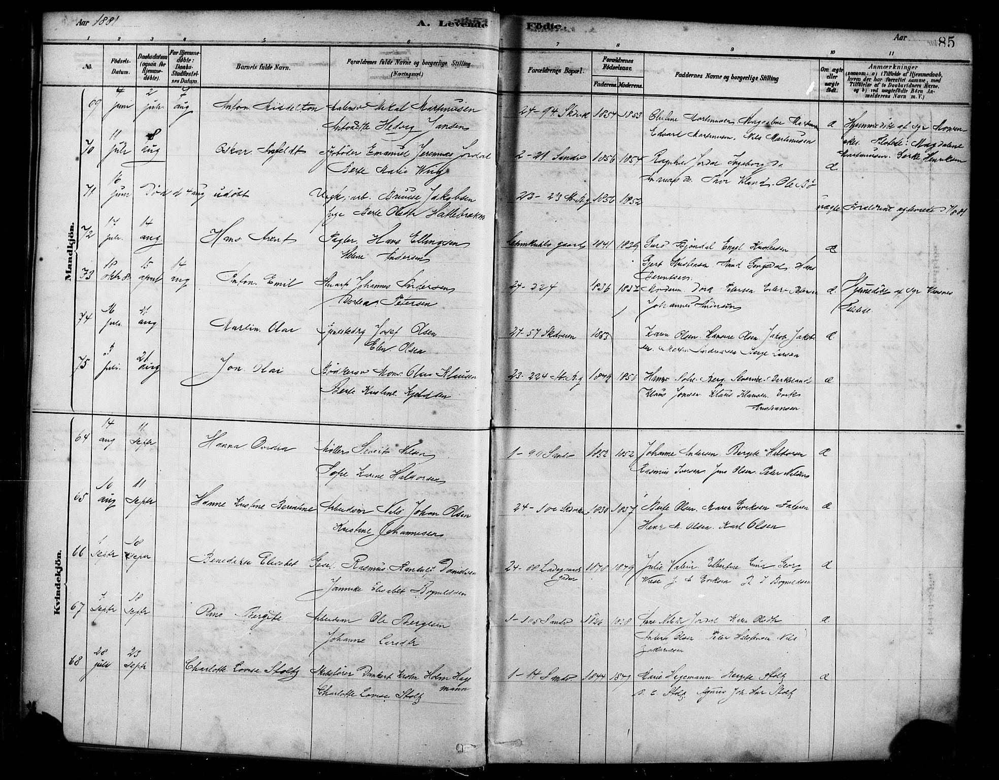 Sandviken Sokneprestembete, AV/SAB-A-77601/H/Ha/L0004: Parish register (official) no. B 1, 1878-1891, p. 85