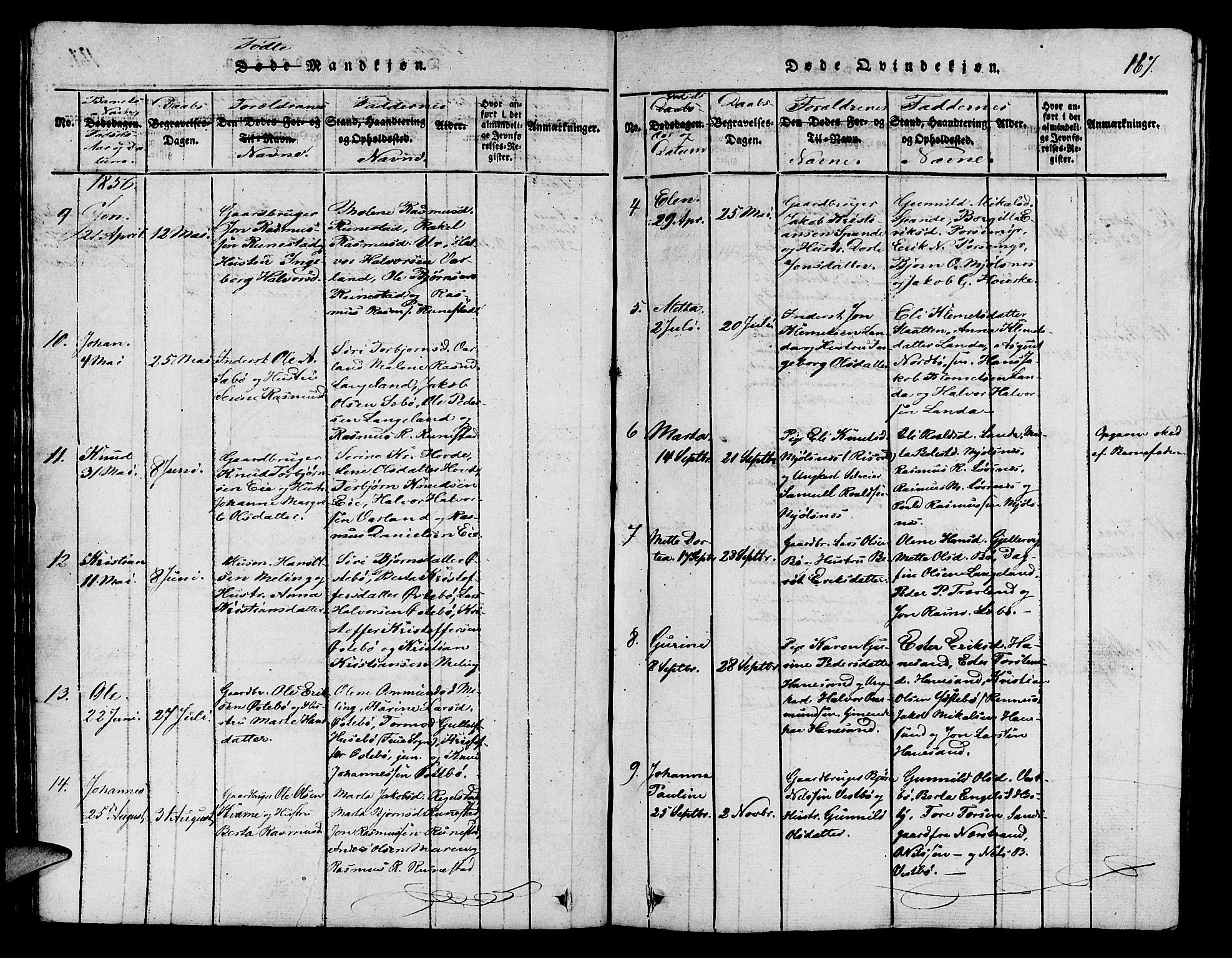 Finnøy sokneprestkontor, AV/SAST-A-101825/H/Ha/Hab/L0001: Parish register (copy) no. B 1, 1816-1856, p. 167