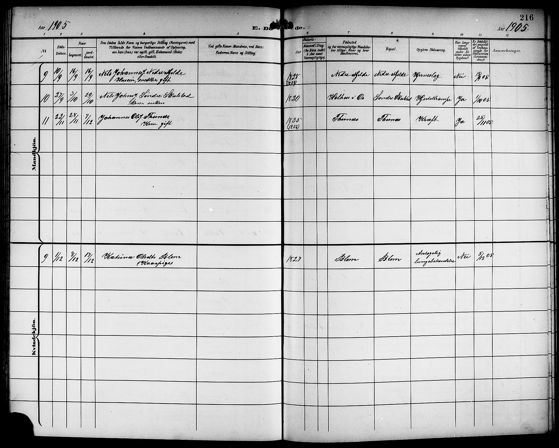 Haus sokneprestembete, AV/SAB-A-75601/H/Hab: Parish register (copy) no. B 4, 1900-1921, p. 216