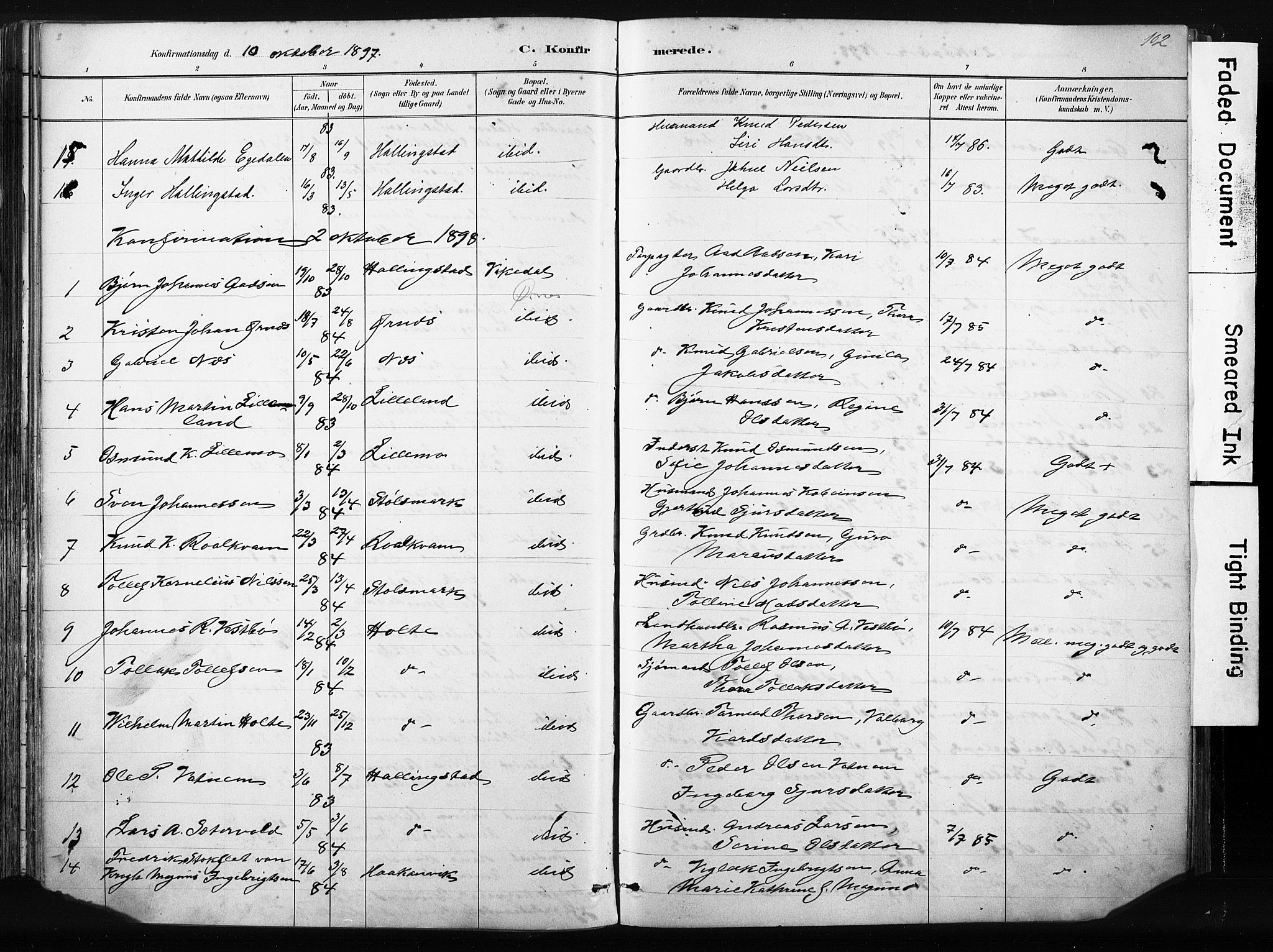 Vikedal sokneprestkontor, AV/SAST-A-101840/01/IV: Parish register (official) no. A 10, 1884-1907, p. 102