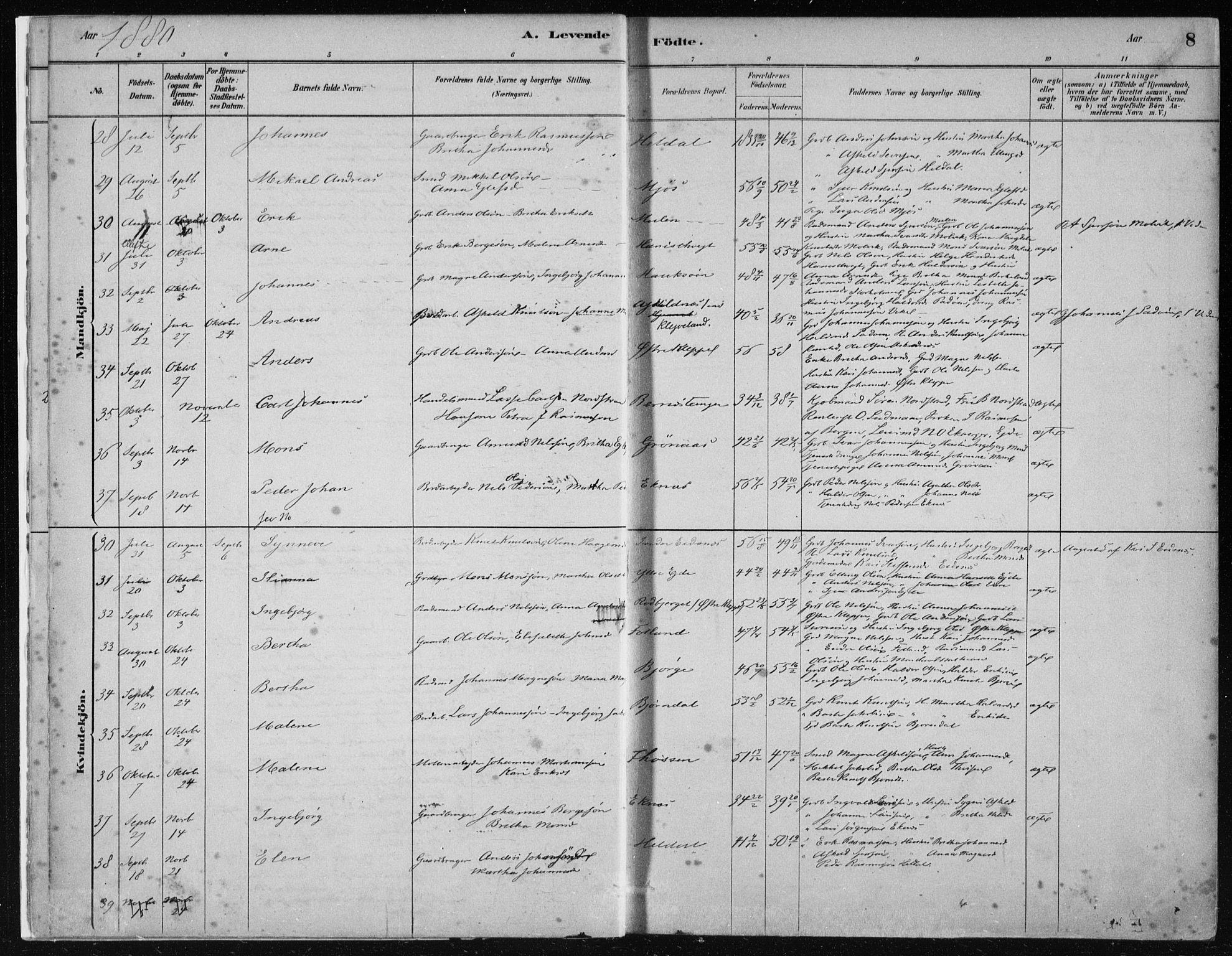 Hosanger sokneprestembete, AV/SAB-A-75801/H/Haa: Parish register (official) no. B  1, 1880-1896, p. 8