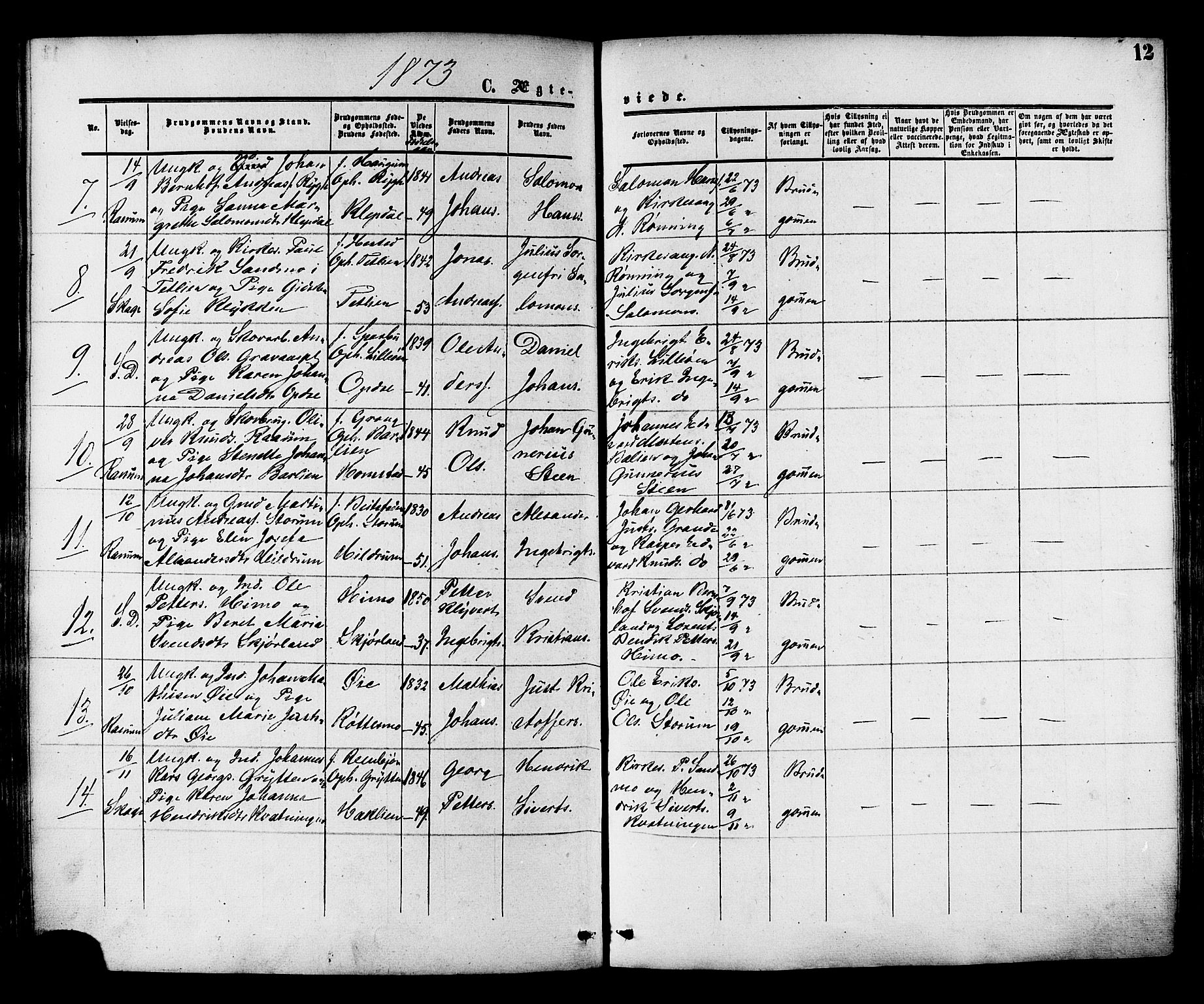 Ministerialprotokoller, klokkerbøker og fødselsregistre - Nord-Trøndelag, AV/SAT-A-1458/764/L0553: Parish register (official) no. 764A08, 1858-1880, p. 12