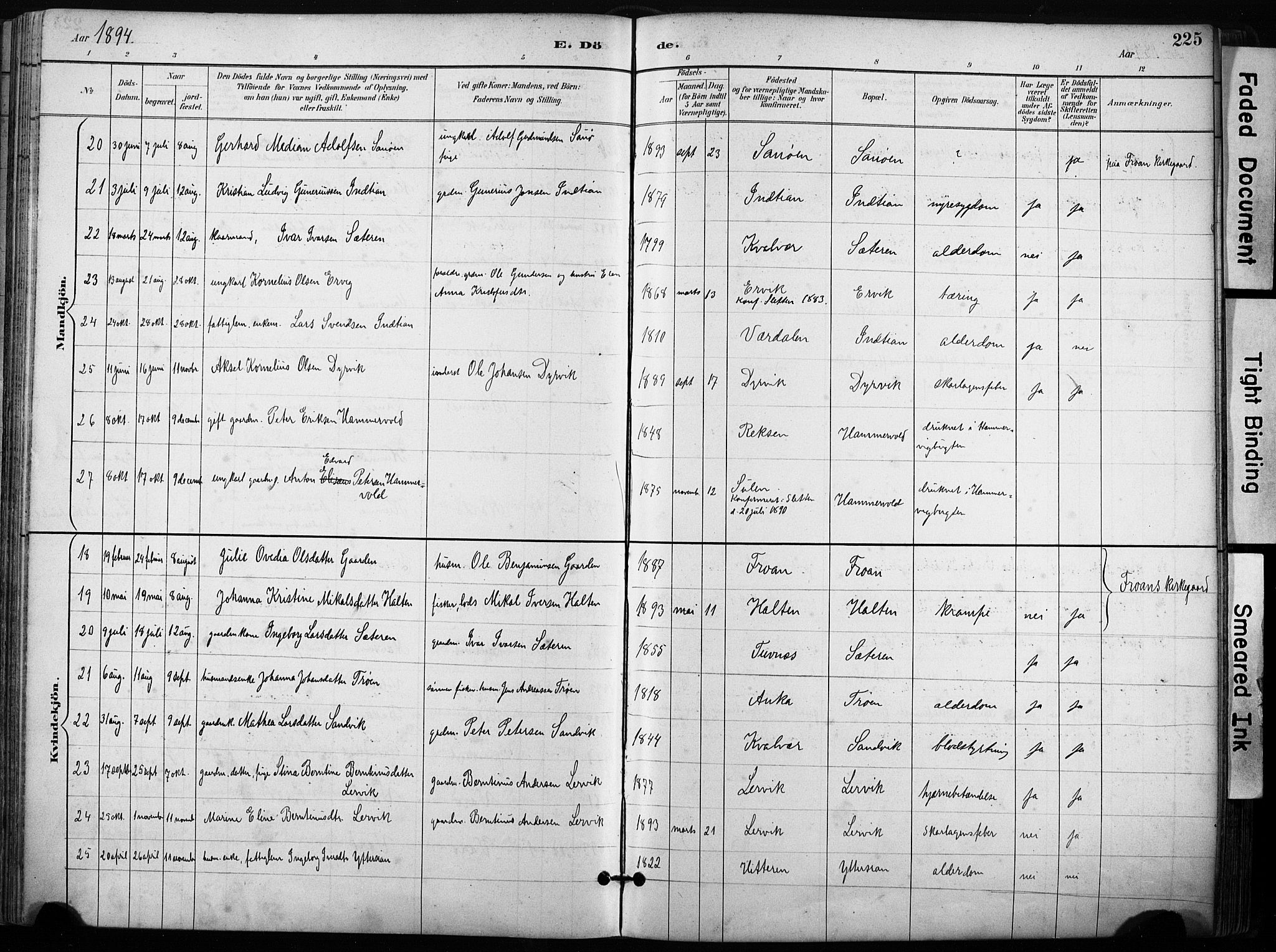 Ministerialprotokoller, klokkerbøker og fødselsregistre - Sør-Trøndelag, AV/SAT-A-1456/640/L0579: Parish register (official) no. 640A04, 1889-1902, p. 225