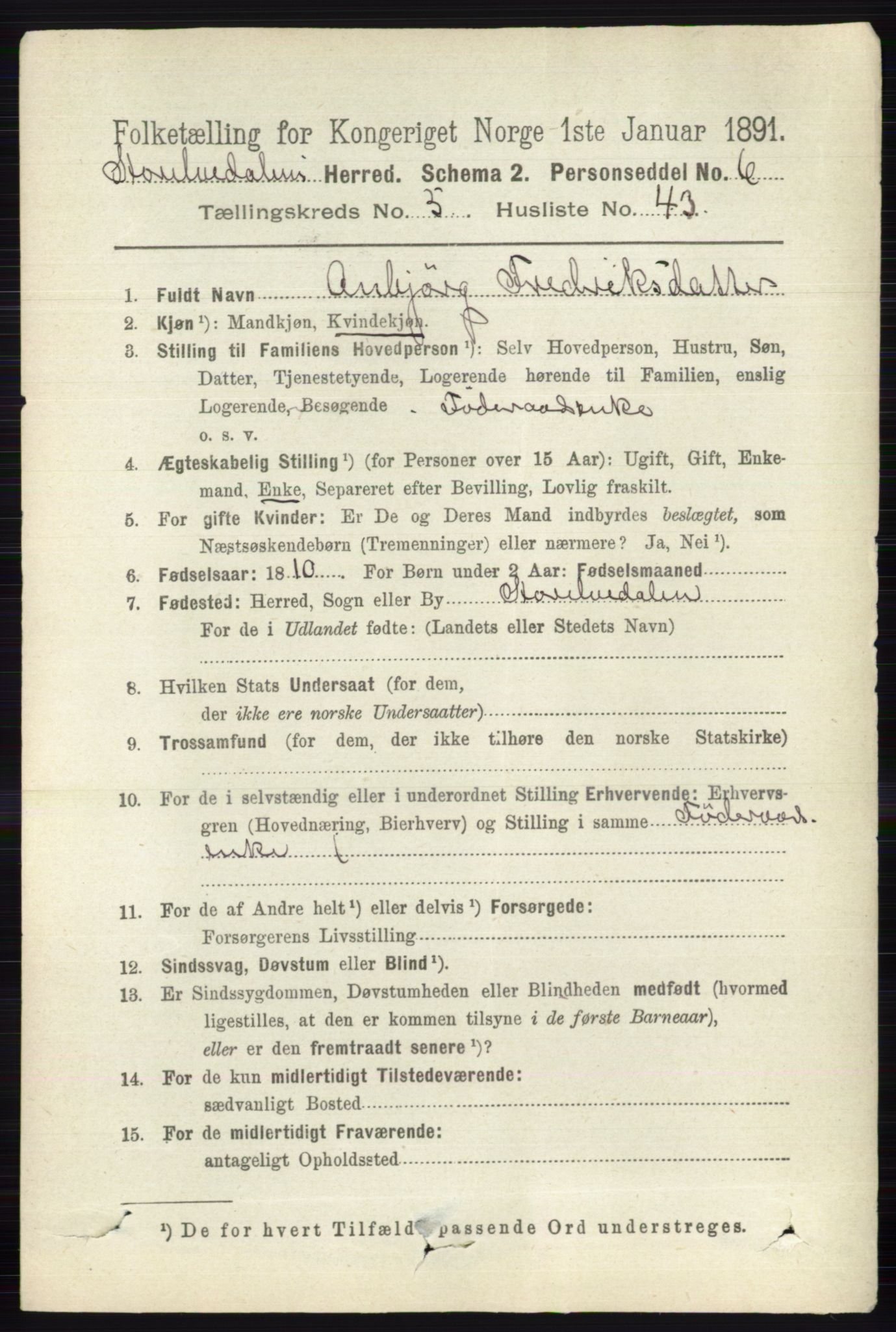 RA, 1891 census for 0430 Stor-Elvdal, 1891, p. 2035