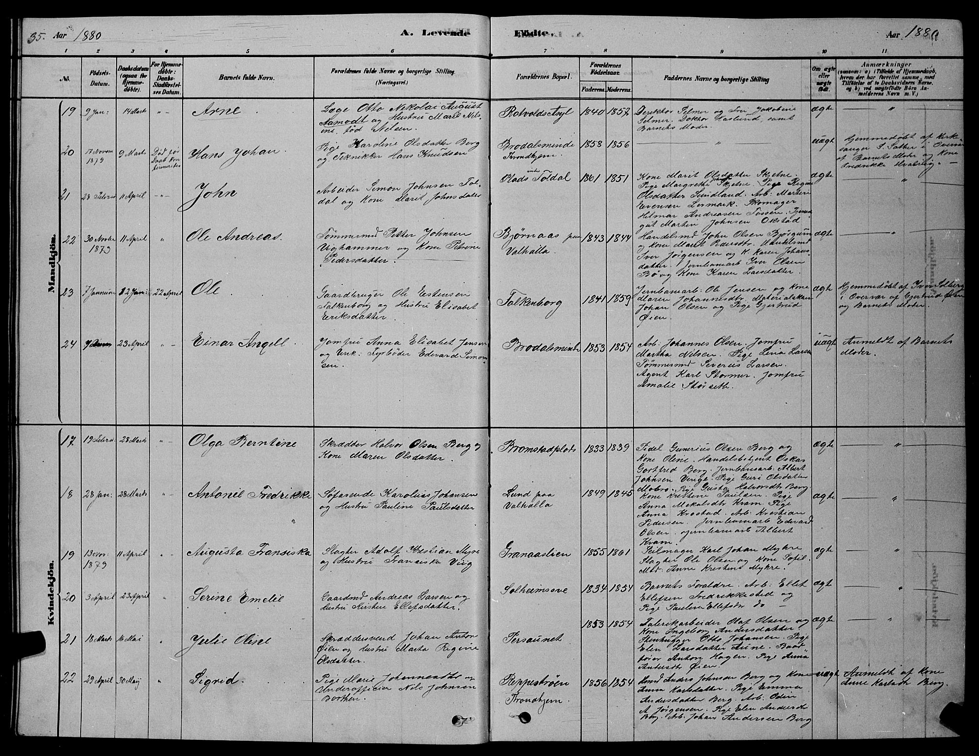 Ministerialprotokoller, klokkerbøker og fødselsregistre - Sør-Trøndelag, AV/SAT-A-1456/606/L0312: Parish register (copy) no. 606C08, 1878-1894, p. 35